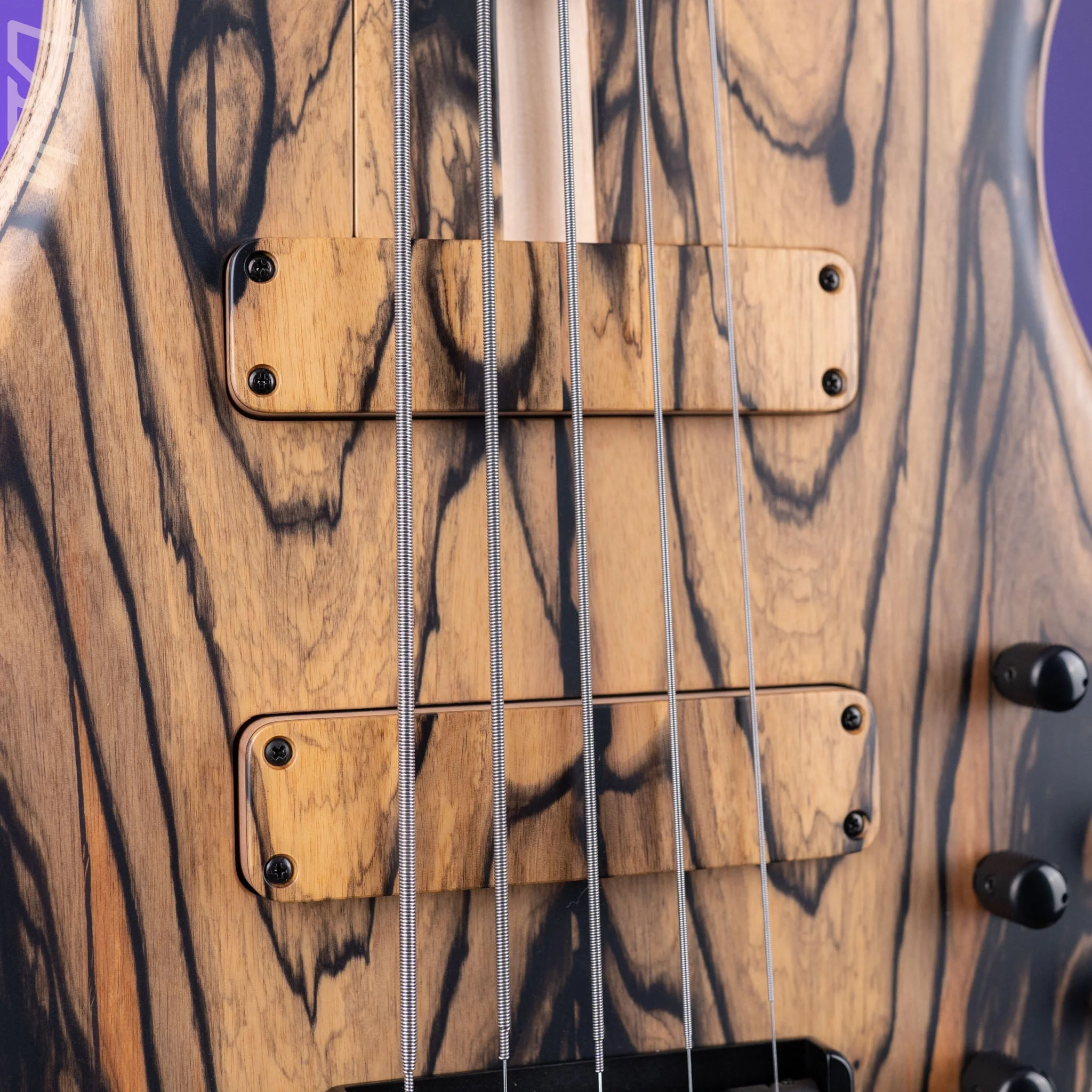 F Bass BN5 5-String Bass Pale Moon Ebony - Image 6