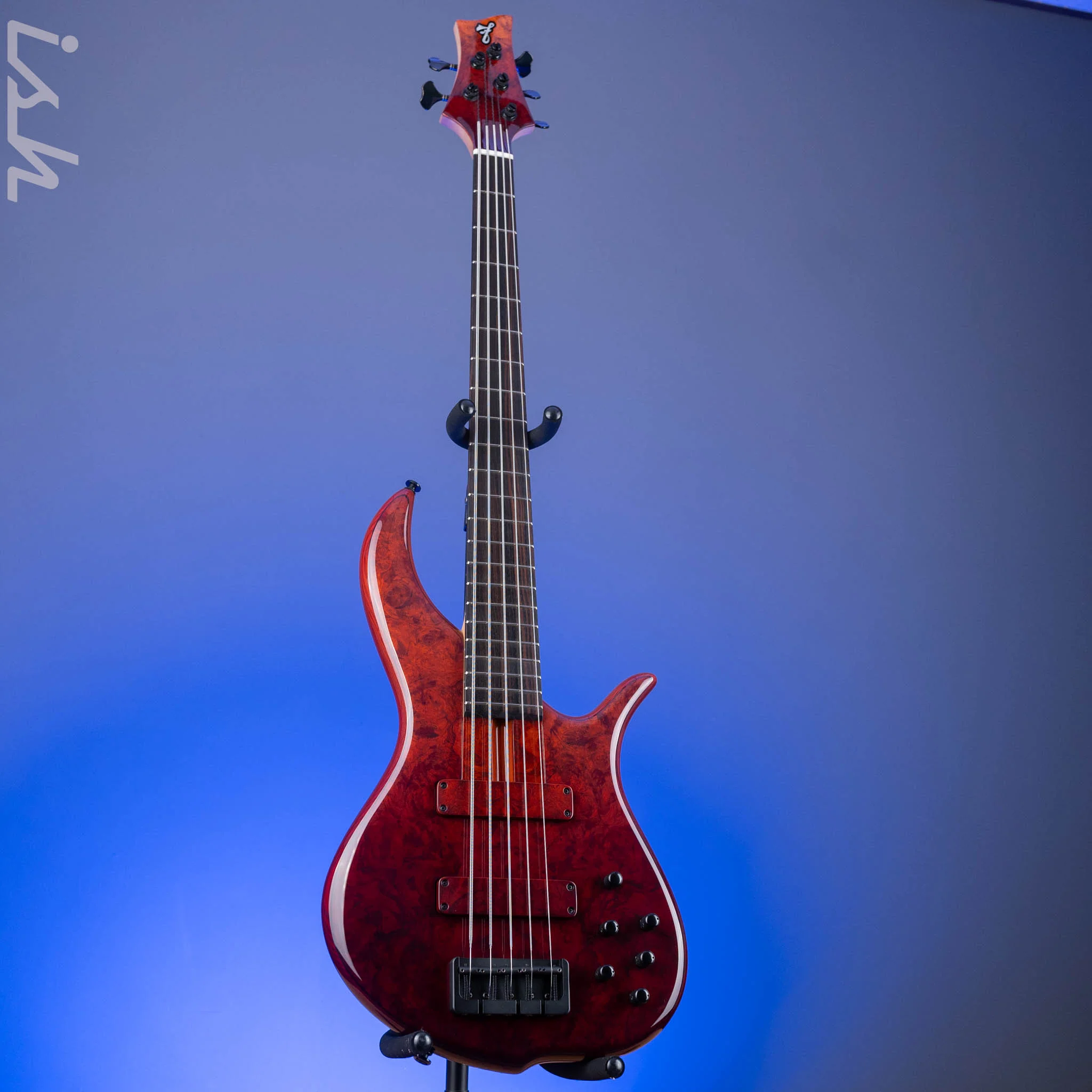 F Bass BN5 Burled Maple Dark Auburn Fade - Image 2