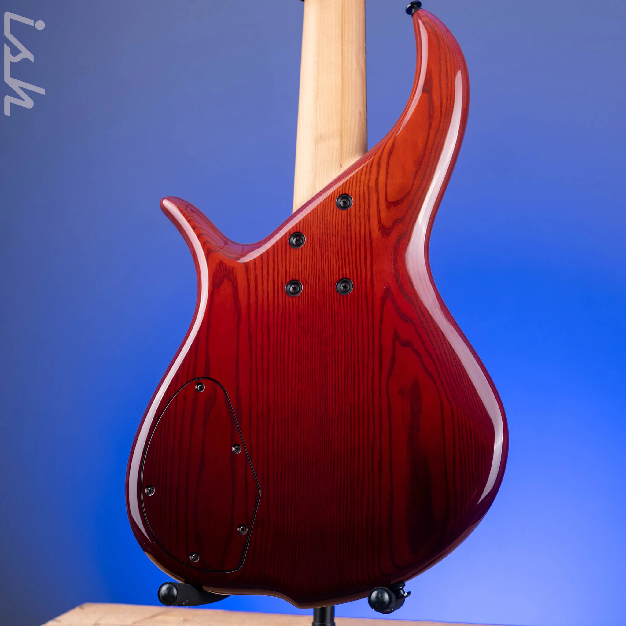 F Bass BN5 Burled Maple Dark Auburn Fade - Image 7