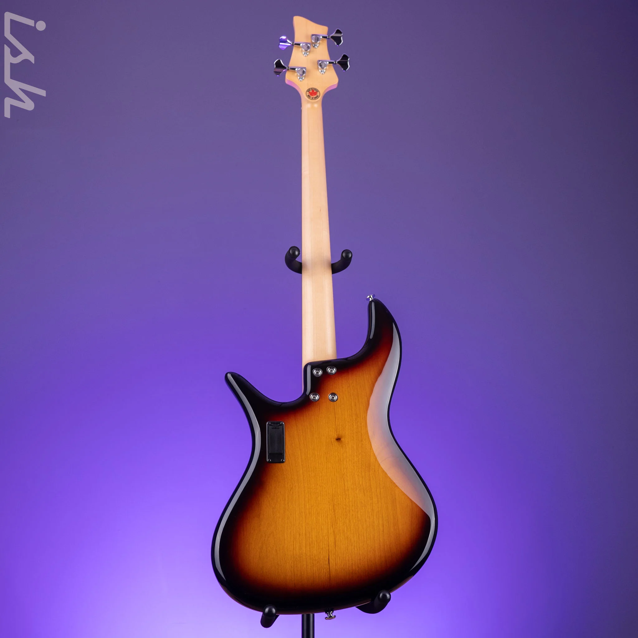 F Bass VF4-J Fretless Sunburst - Image 6