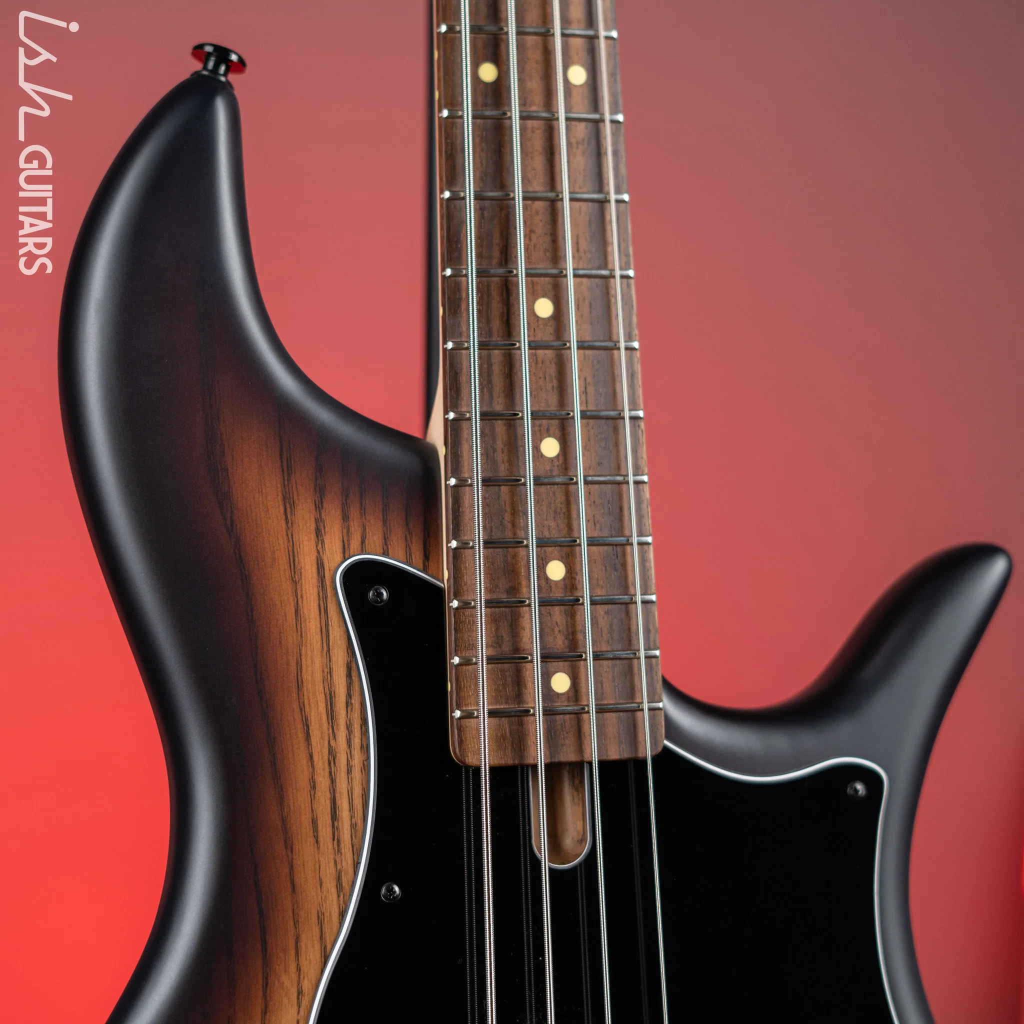 F Bass VF4-PJ 4-String Bass Brown Burst - Image 3