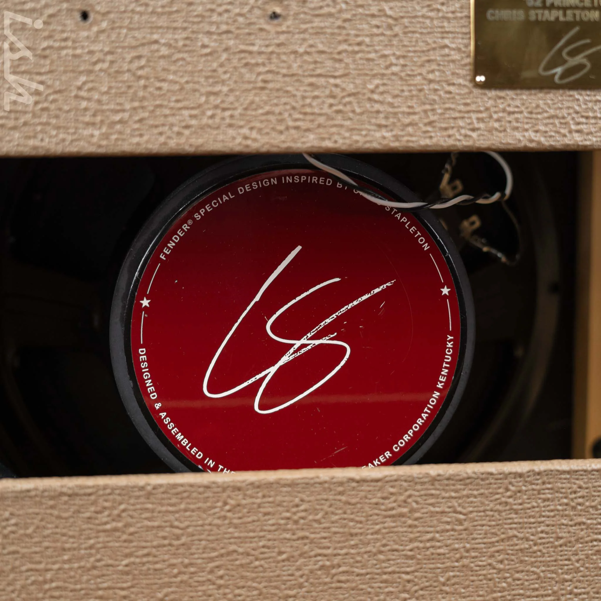 Fender '62 Princeton® Combo Amplifier Chris Stapleton Edition - Image 7