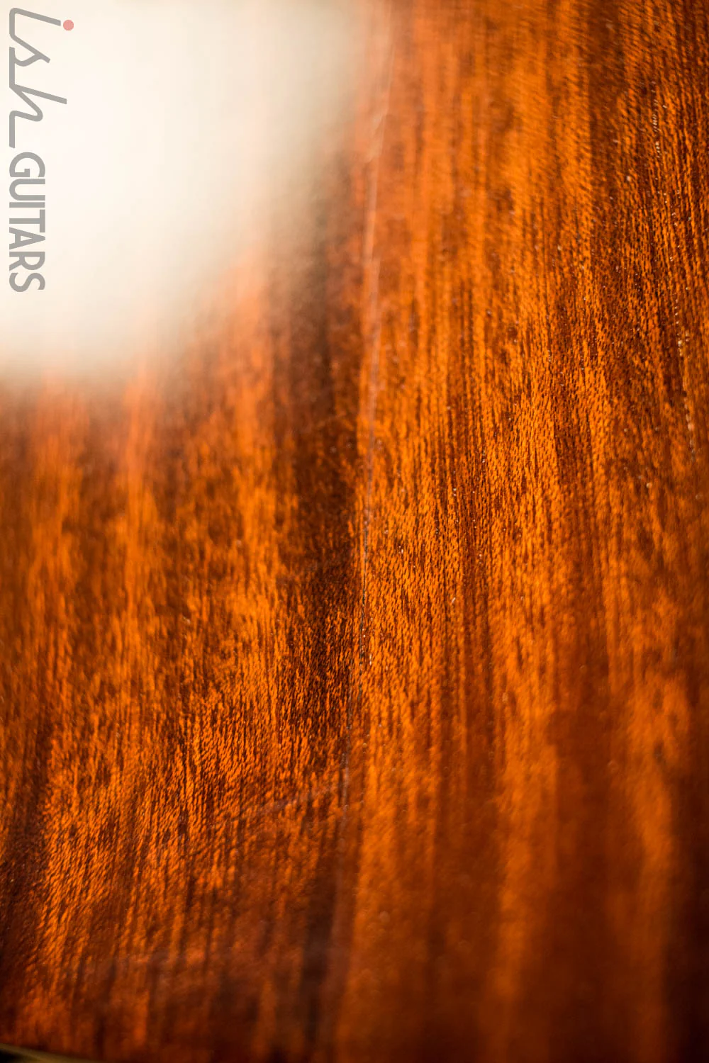 2005 Gibson Les Paul Smart Wood Series EPEXMUGH1 - Image 9