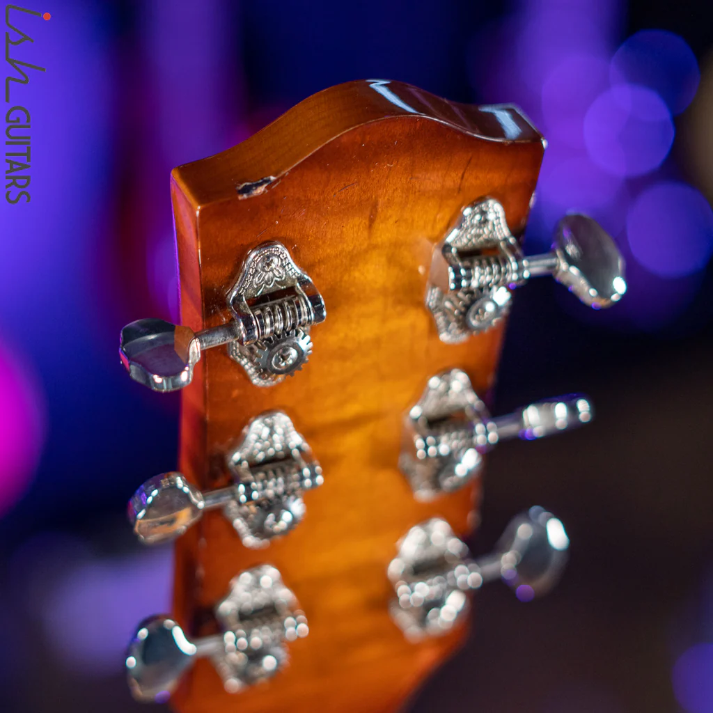 Godin 5th Avenue Jazz Sunburst HG SF - Image 13
