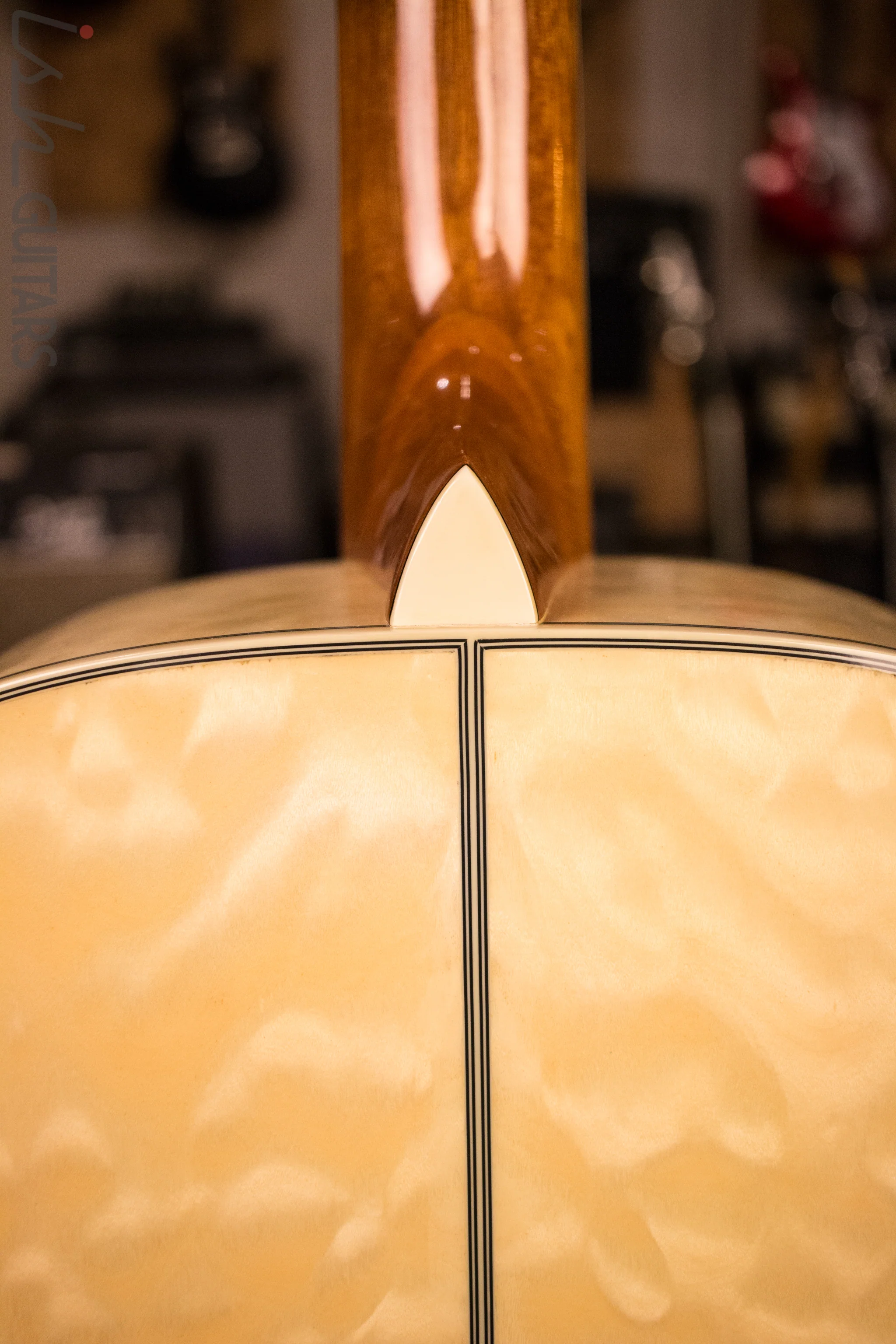 Ibanez Acoustic - Image 10