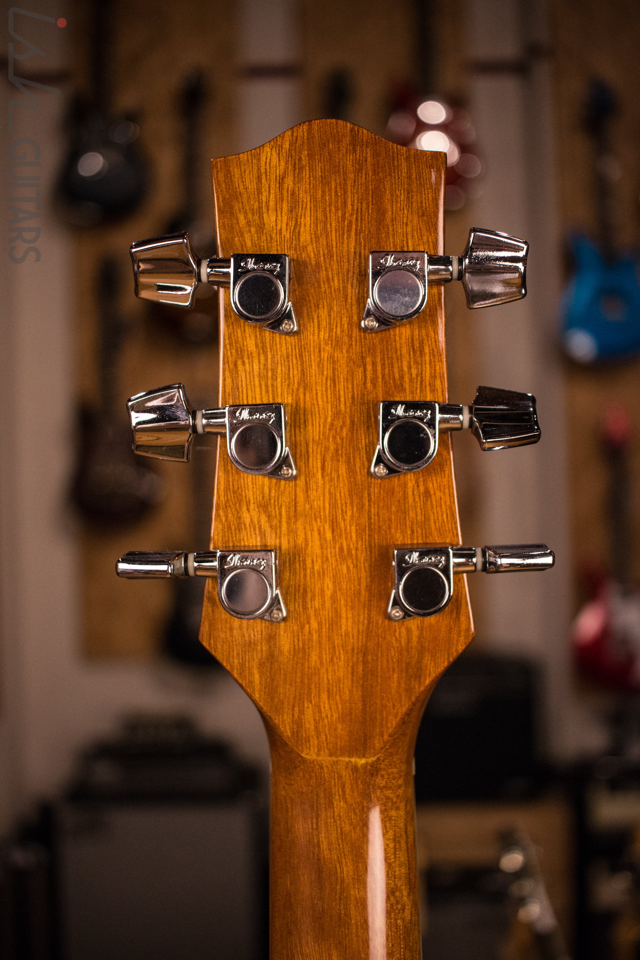 Ibanez Acoustic - Image 7