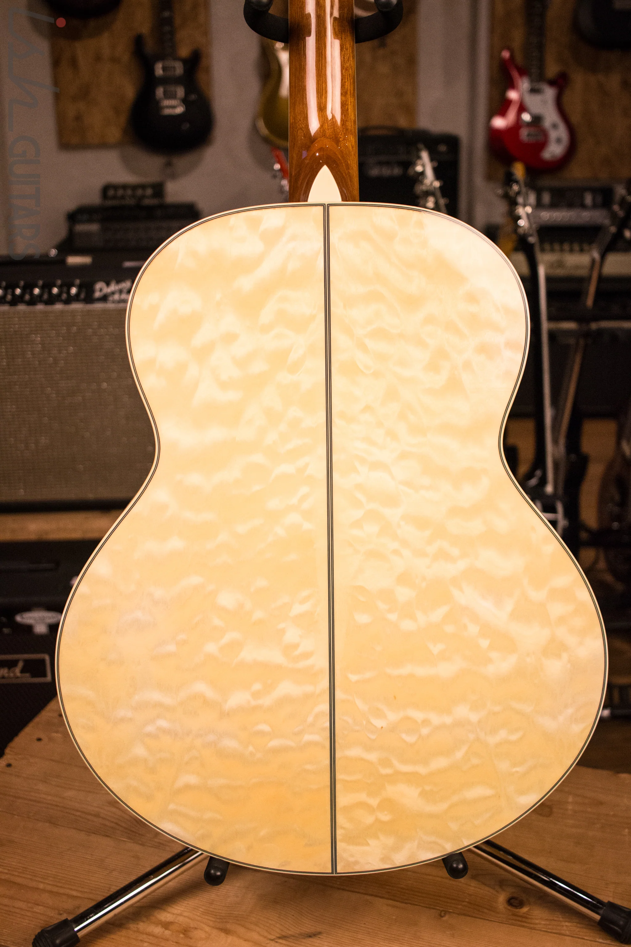Ibanez Acoustic - Image 8