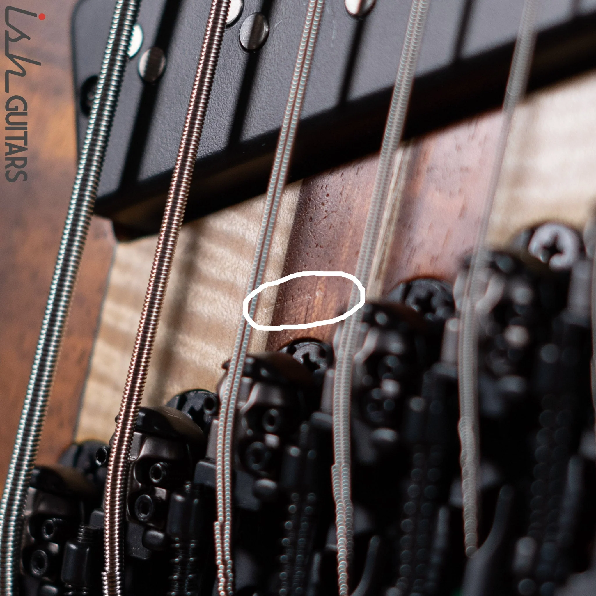 Ibanez BTB 6 String Multiscale "Hercules" JPCS10 50th Anniversary Bass Guitar *Demo* - Image 8
