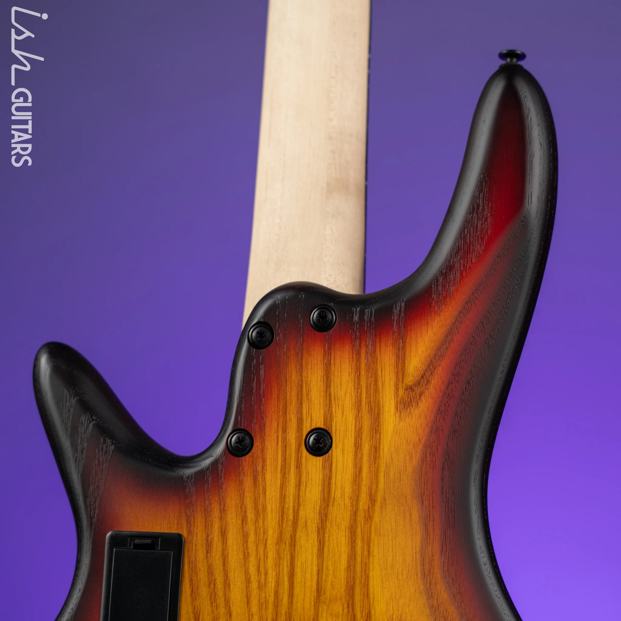 Ibanez GWB205 Gary Willis Signature 5-String Fretless Bass Tequila Sunrise Flat - Image 8