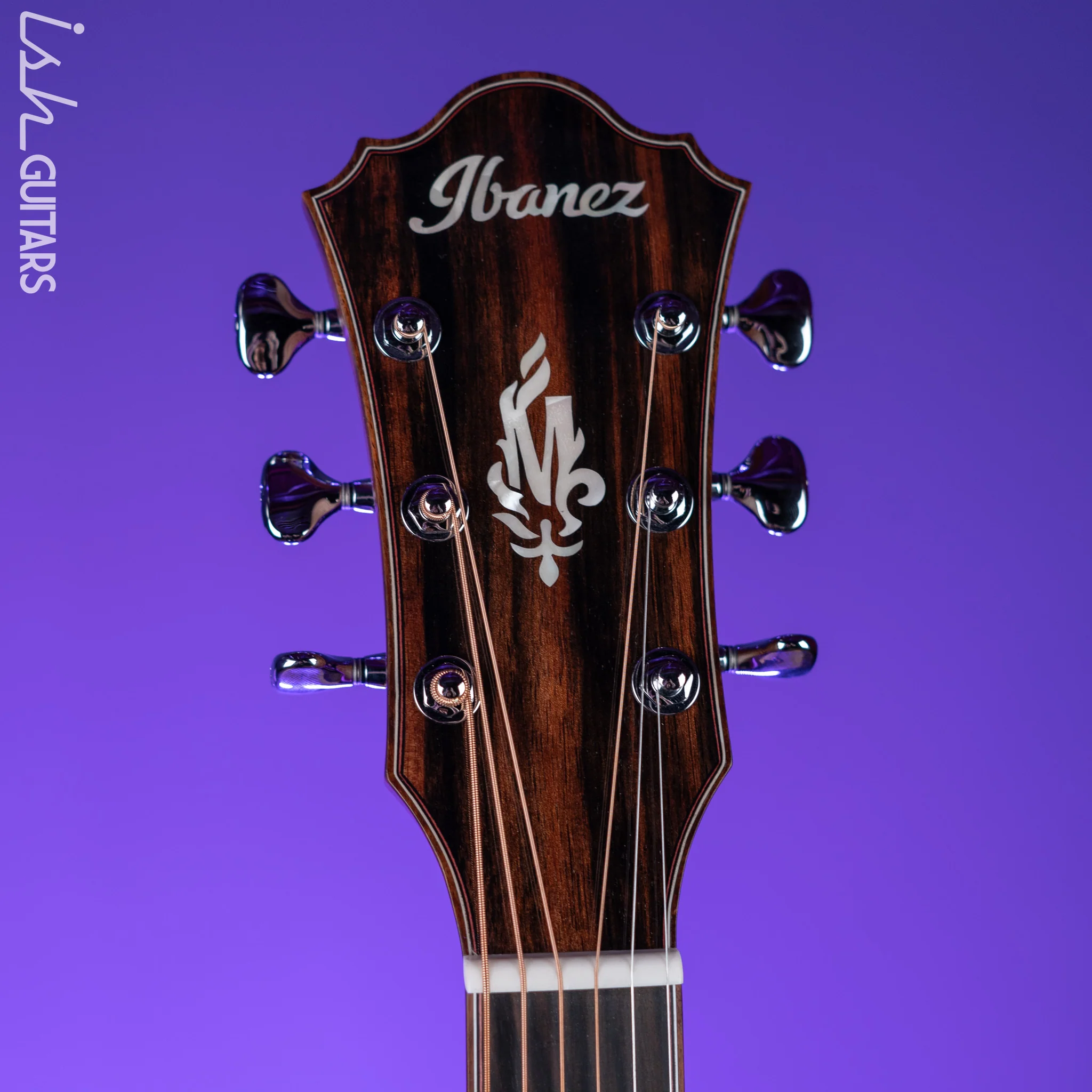 Ibanez Marcin Patrzalek Series MRC10 Acoustic-Electric Guitar Demo - Image 5