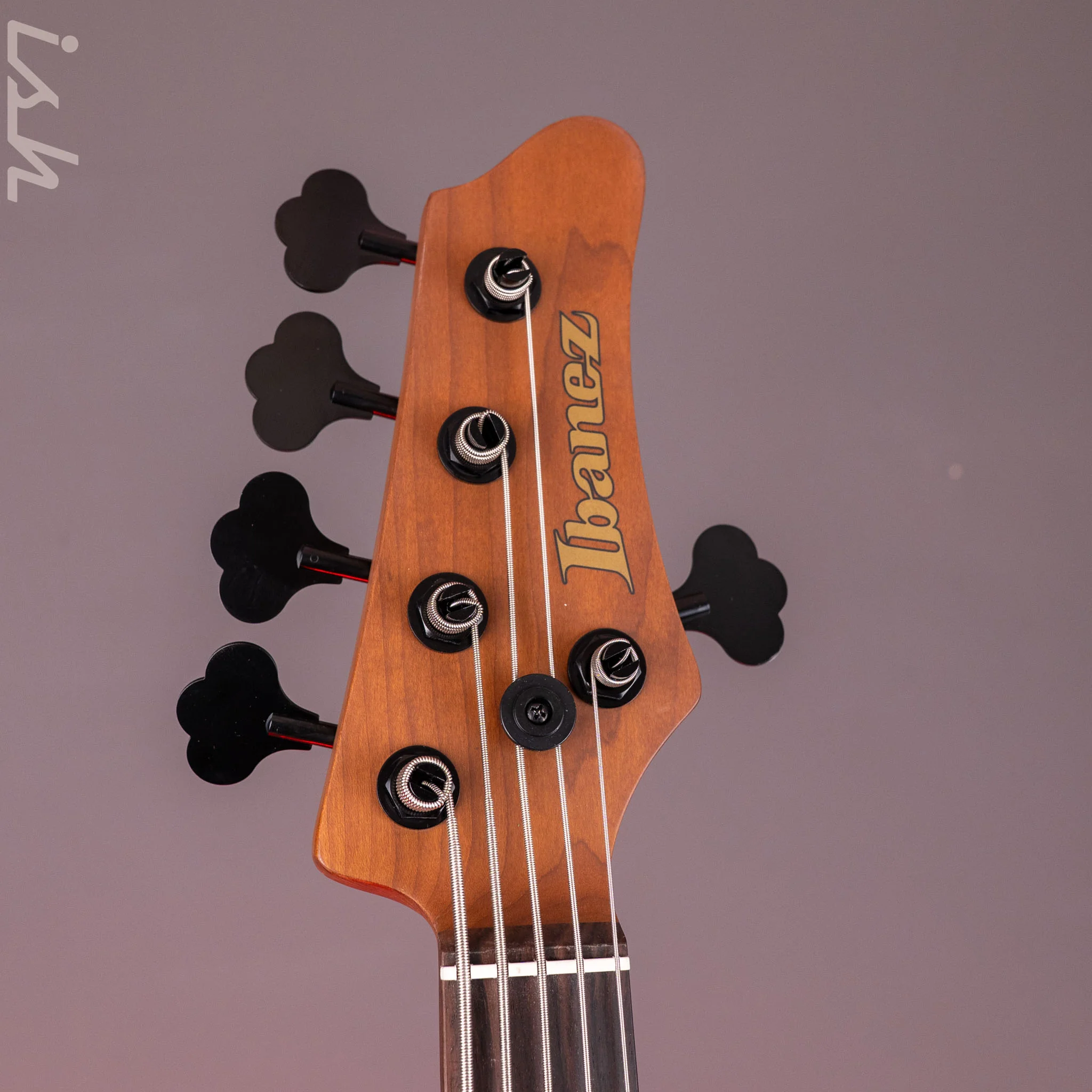 Ibanez Mode MDM1605 5-String Bass Deep Twilight - Image 7