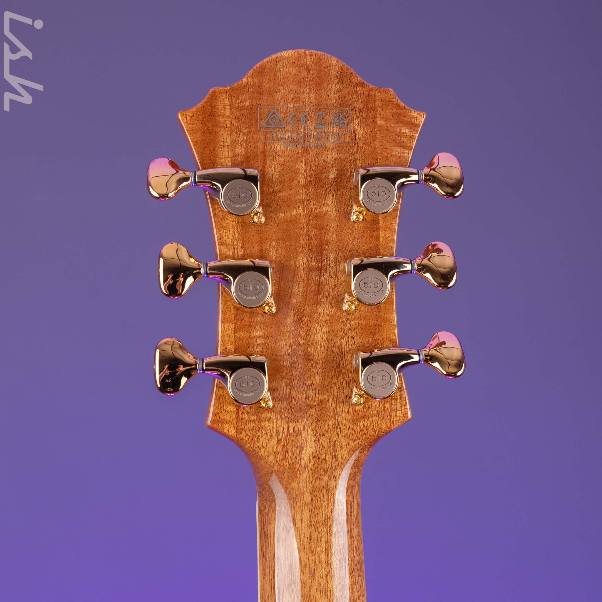 Ibanez PM200 Pat Metheny Signature Hollowbody Natural - Image 10