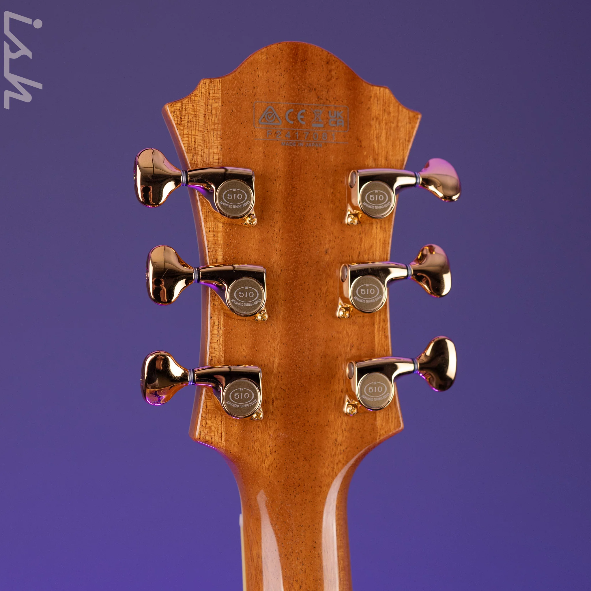 Ibanez PM200 Pat Metheny Signature Hollowbody Natural Demo - Image 10