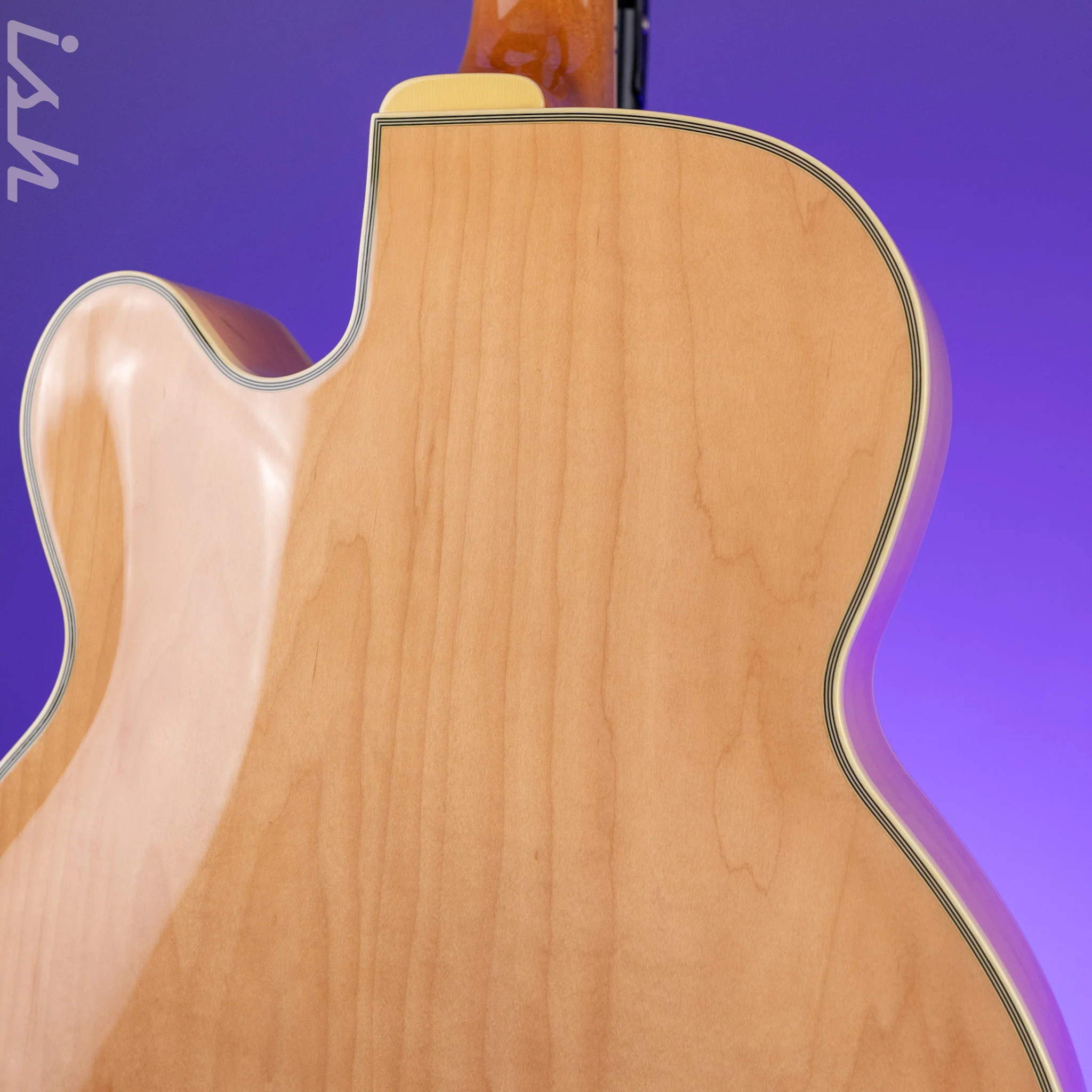 Ibanez PM200 Pat Metheny Signature Hollowbody Natural Demo - Image 8