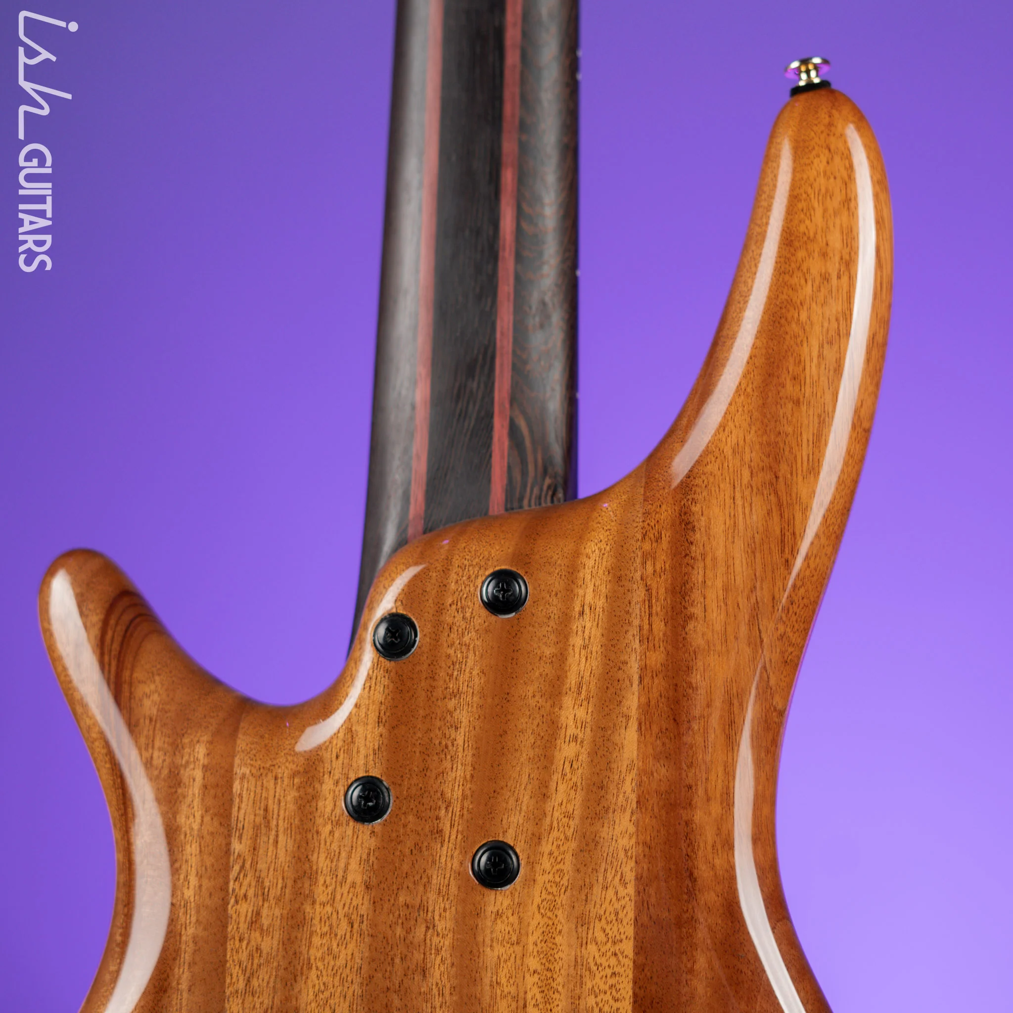 Ibanez Premium SR1605D 5-String Bass Autumn Sunset Sky Demo - Image 8