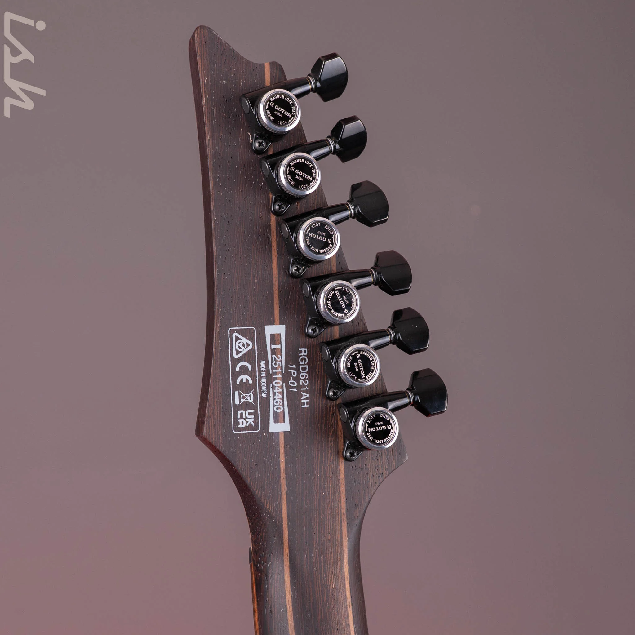 Ibanez RGD621AH Midnight Shade Flat Electric Guitar - Image 12