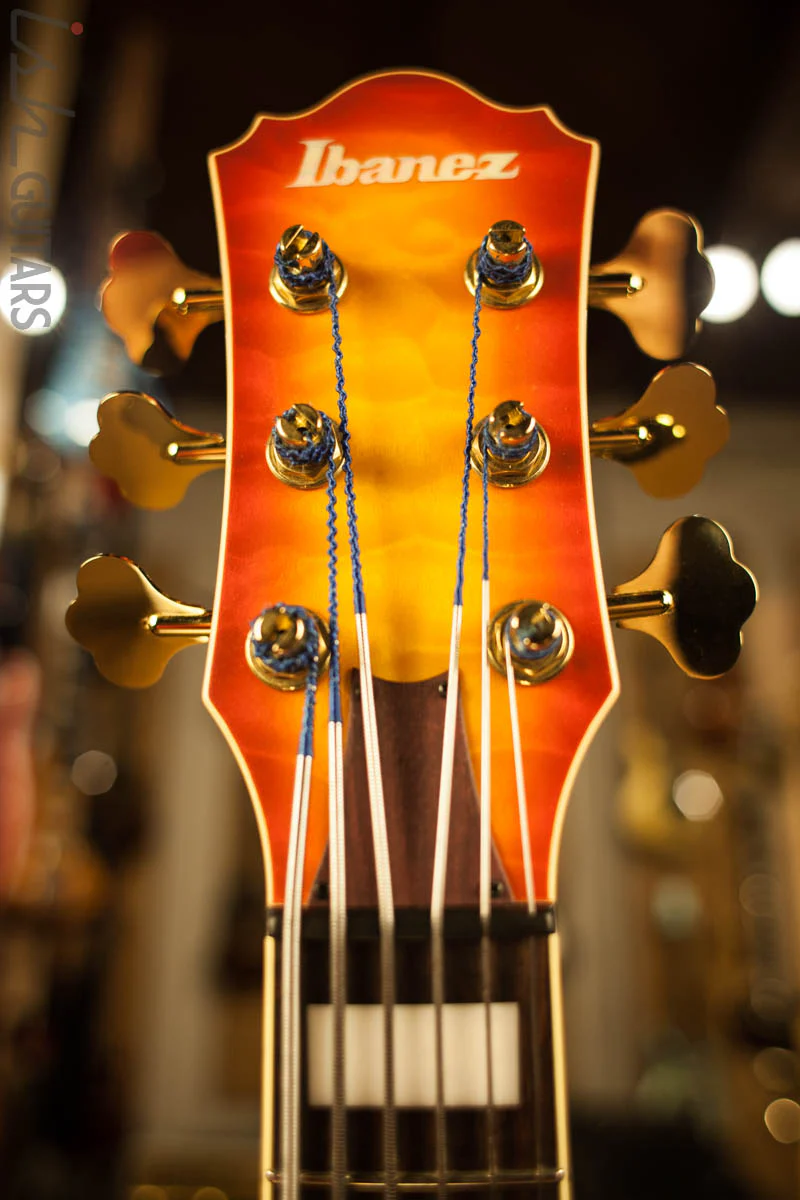 Ibanez TCB1006 Stephen "Thundercat" Bruner Signature Series 6-String Bass Autumn Leaf Burst Matte - Image 5