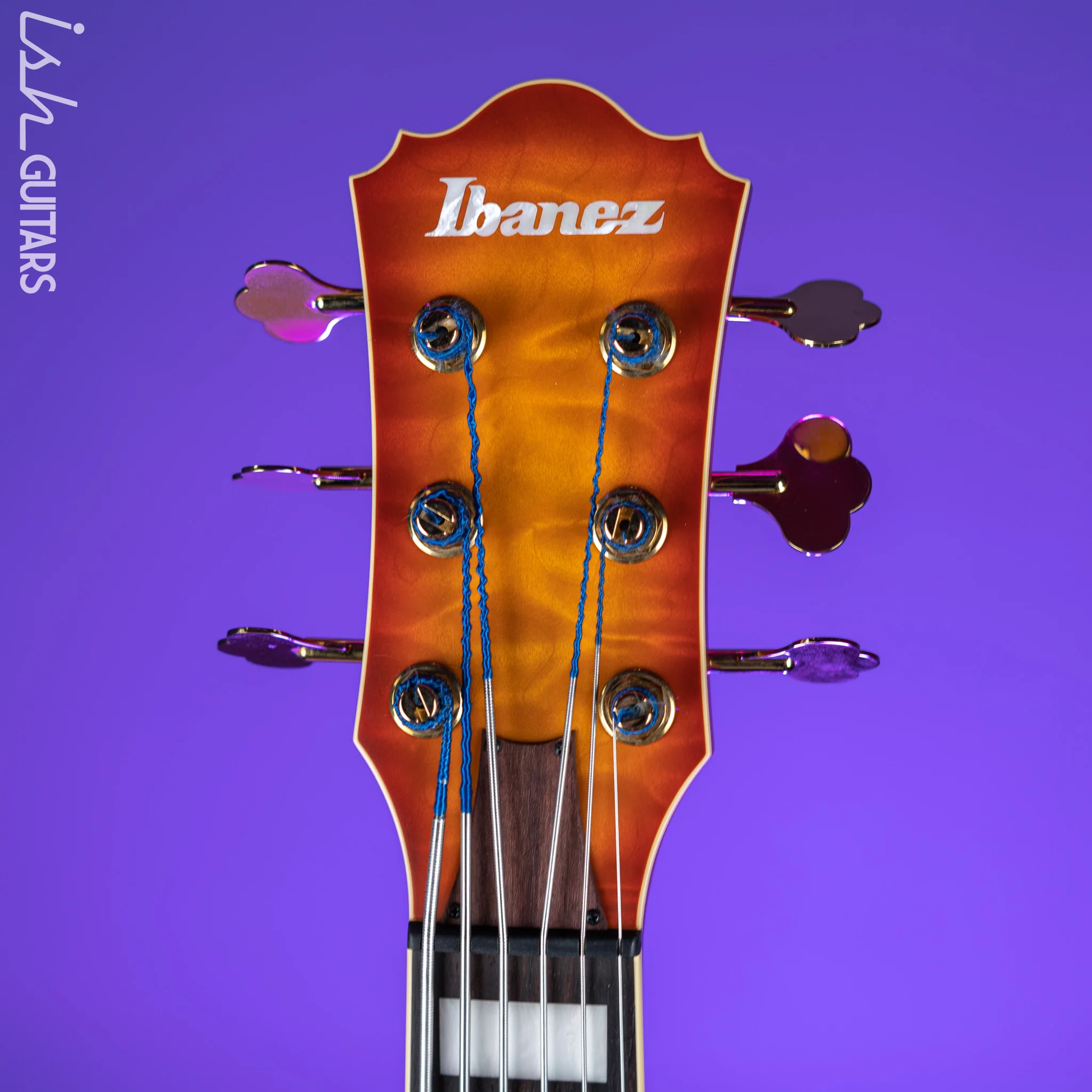 Ibanez TCB1006 Thundercat Signature 6-String Bass Autumn Leaf Burst Matte - Image 5