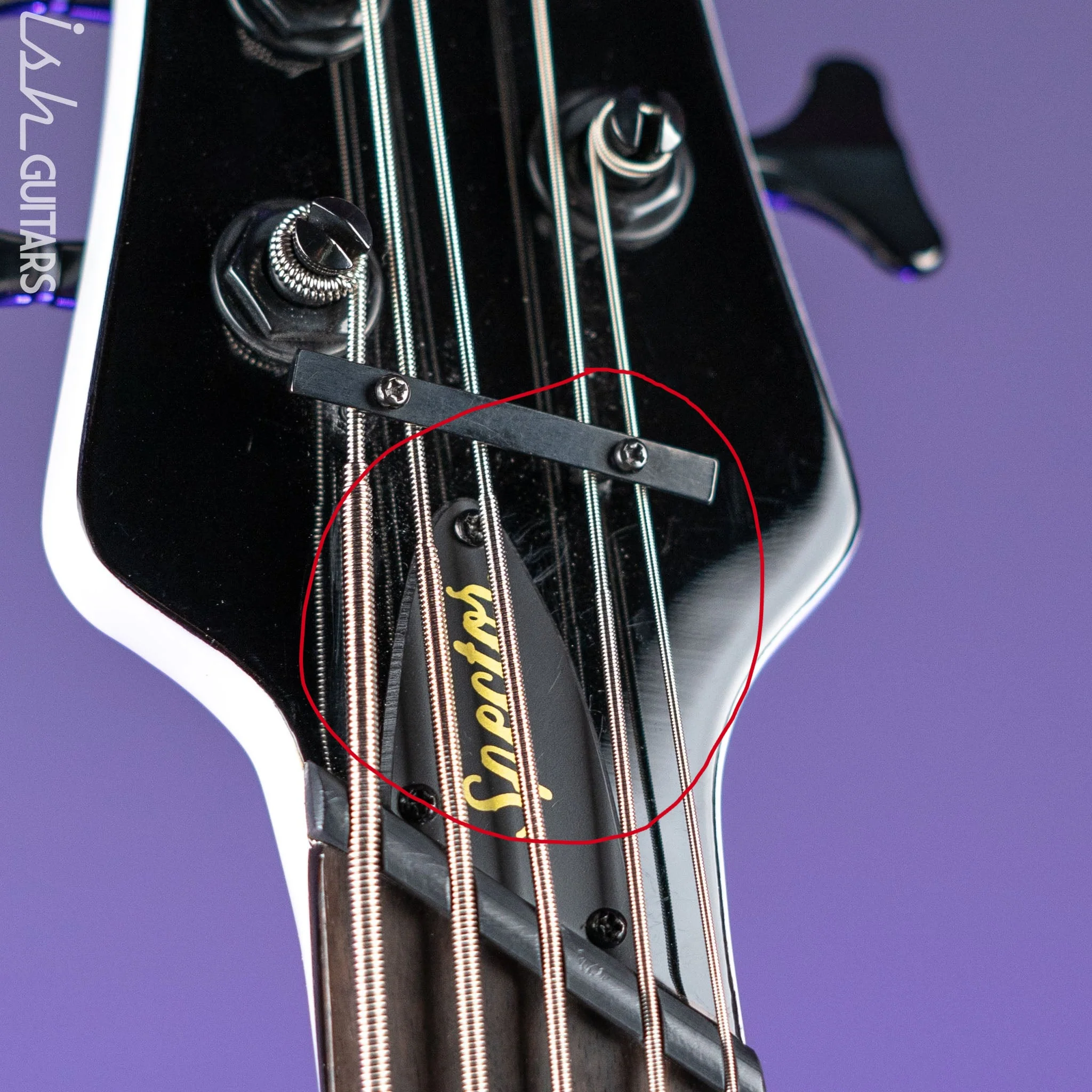 Ish X Spector NS Dimension 5 String EMG Darkglass White Gloss Demo - Image 6