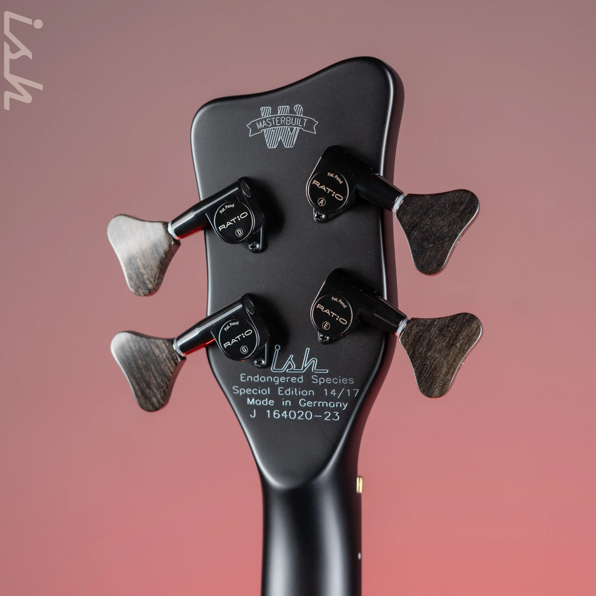 Ish x Warwick Dolphin SN TCS Custom Shop Endangered Species 4-String Bass Black Satin Ebony Fretboard - Image 12