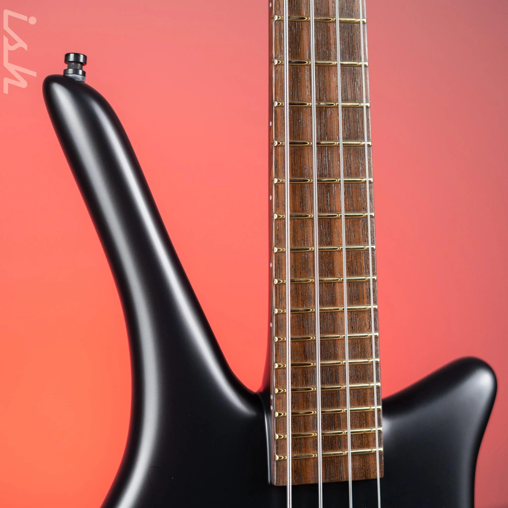 Ish x Warwick Dolphin SN TCS Custom Shop Endangered Species 4-String Bass Black Satin Wenge Fretboard - Image 3