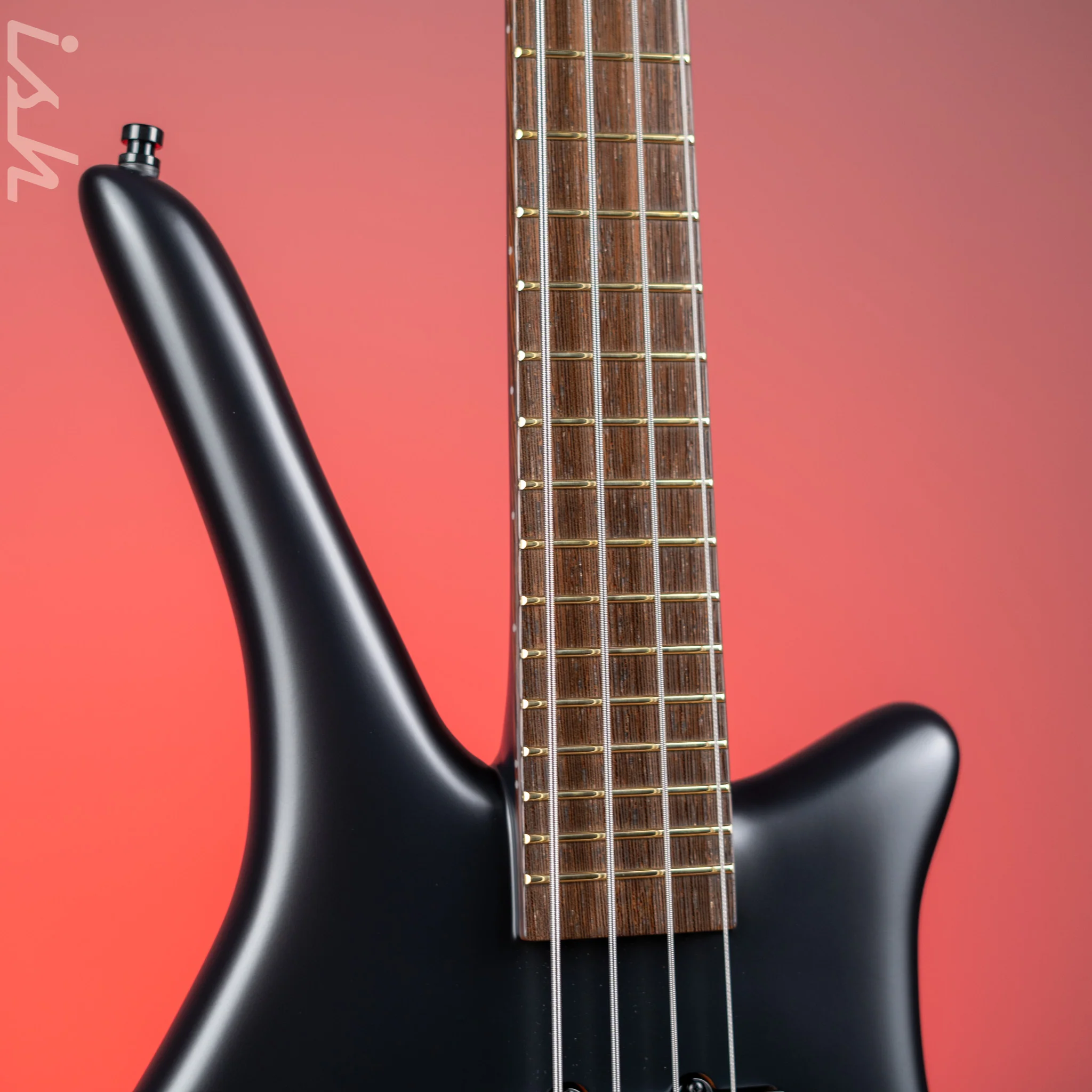 Ish x Warwick Dolphin SN TCS Custom Shop Endangered Species 4-String Bass Black Satin Wenge Fretboard - Image 3