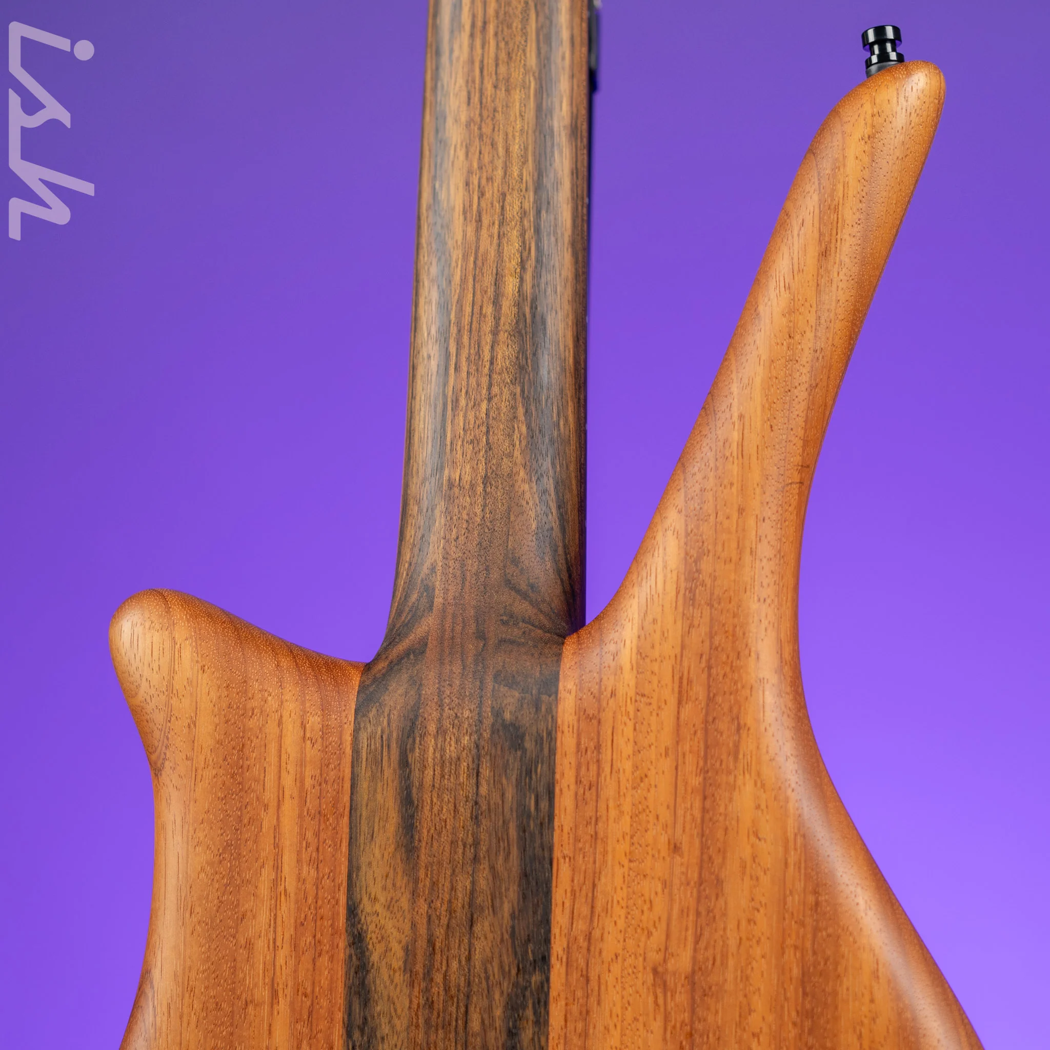 Ish x Warwick Dolphin SN TCS Custom Shop Endangered Species 4-String Bass Wenge Fretboard - Image 8