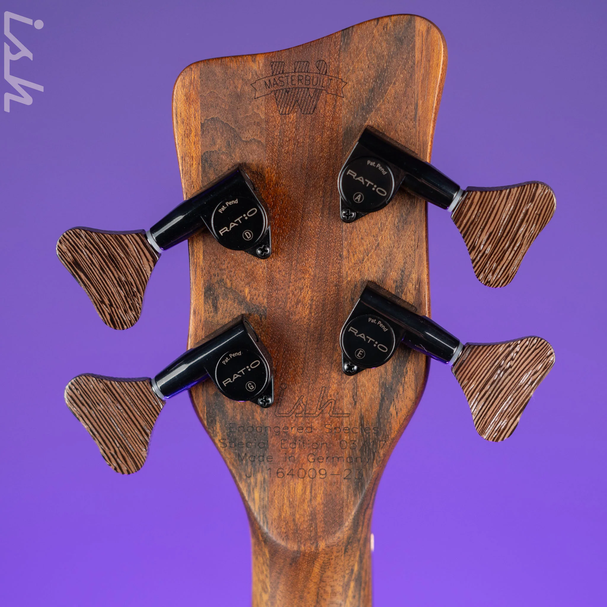 Ish x Warwick Dolphin SN TCS Custom Shop Endangered Species 4-String Bass Wenge Fretboard Demo - Image 12
