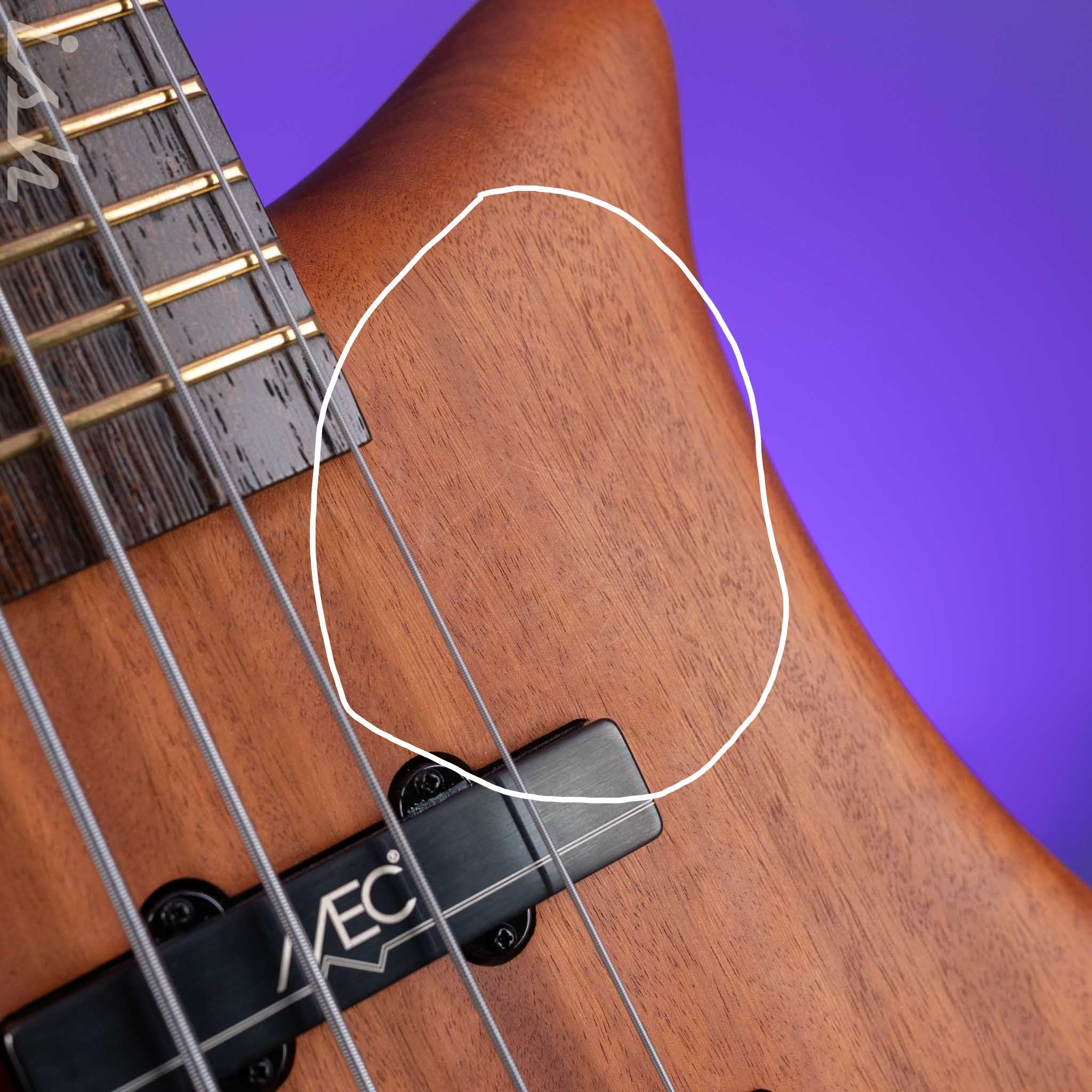 Ish x Warwick Dolphin SN TCS Custom Shop Endangered Species 4-String Bass Wenge Fretboard Demo - Image 5