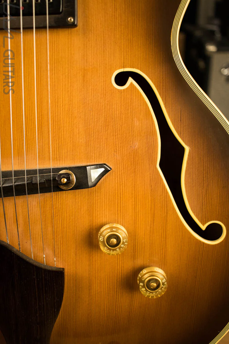 Mancuso Hollowbody 7 String Electric Guitar - Image 4