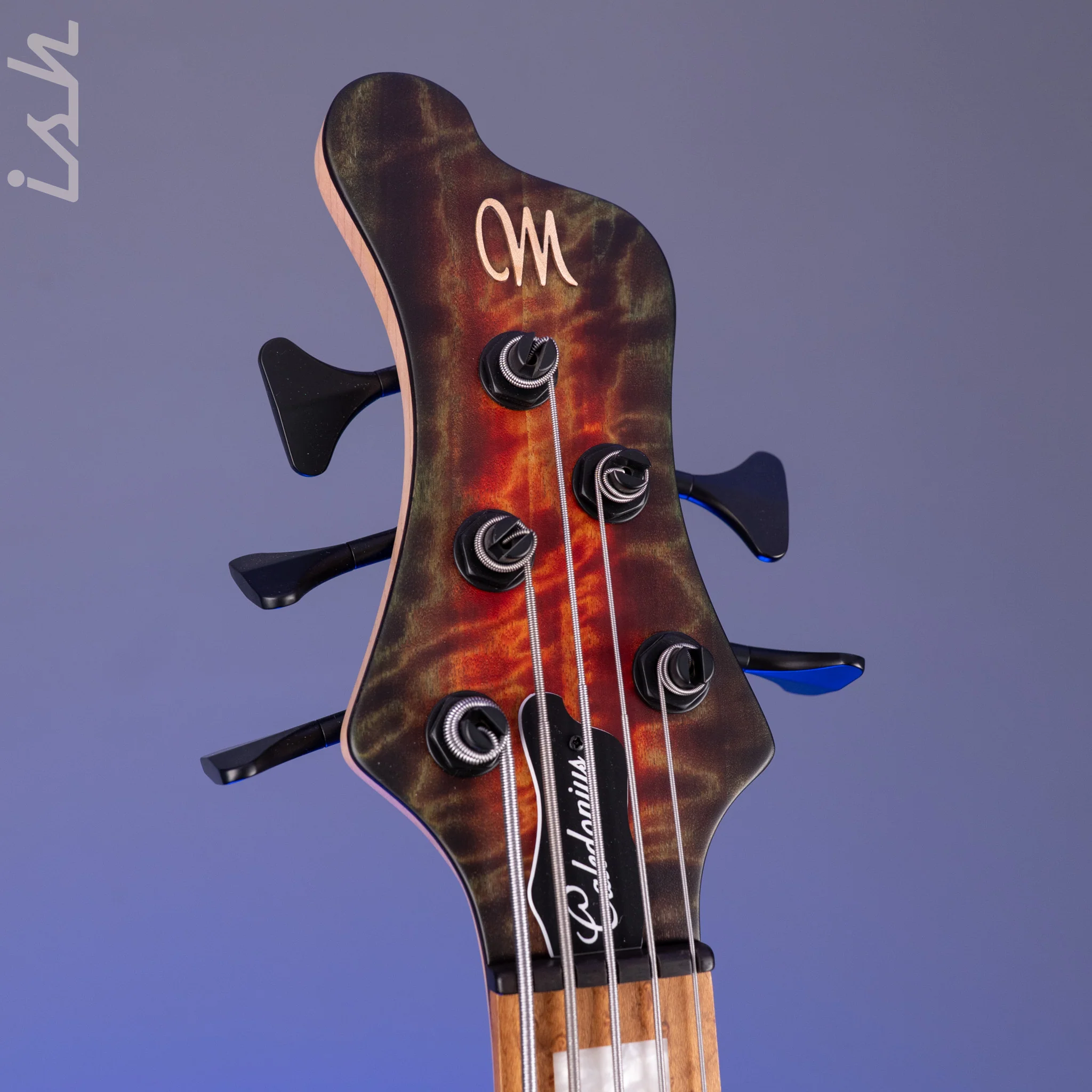Mayones Caledonius 5 Curly Poplar - Image 7