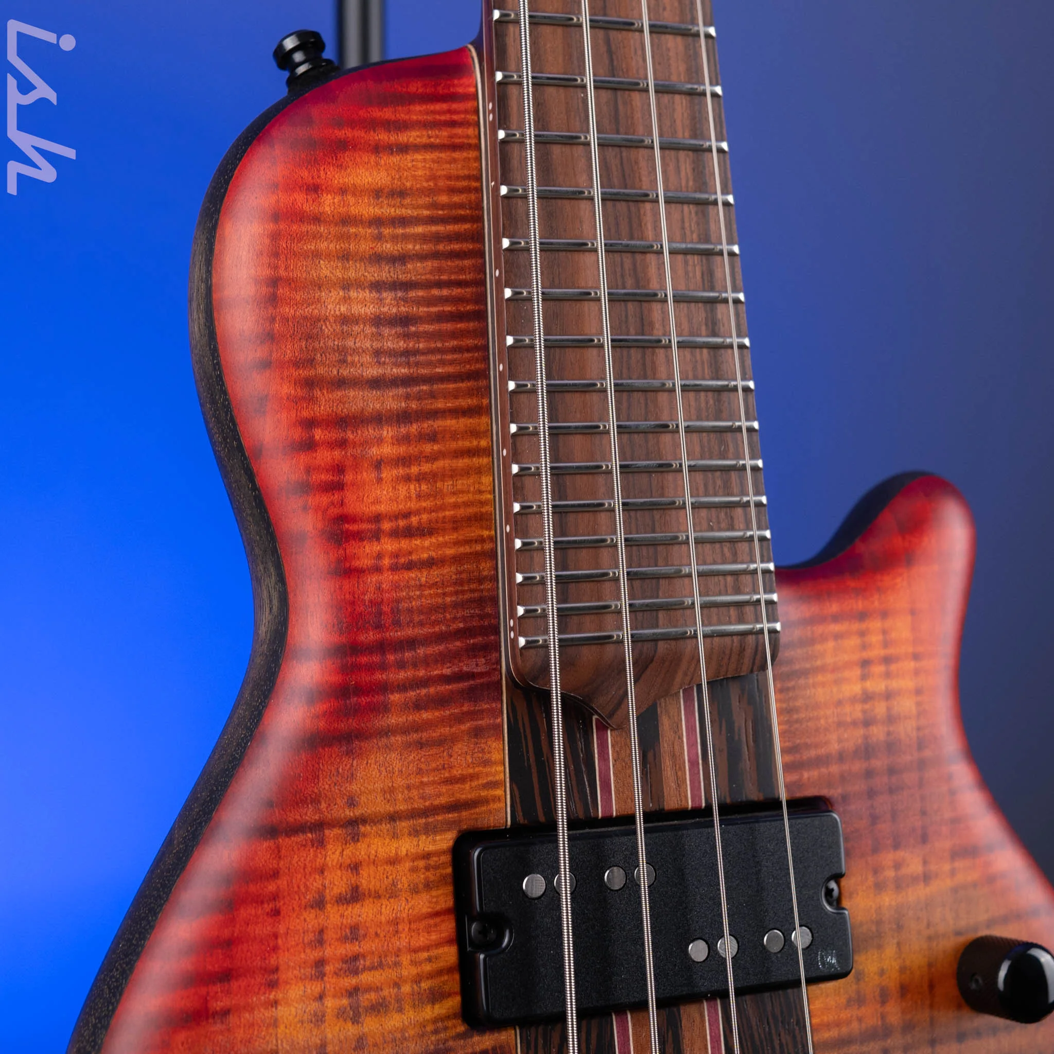 Mayones Cali 4 Bass Demo - Image 4