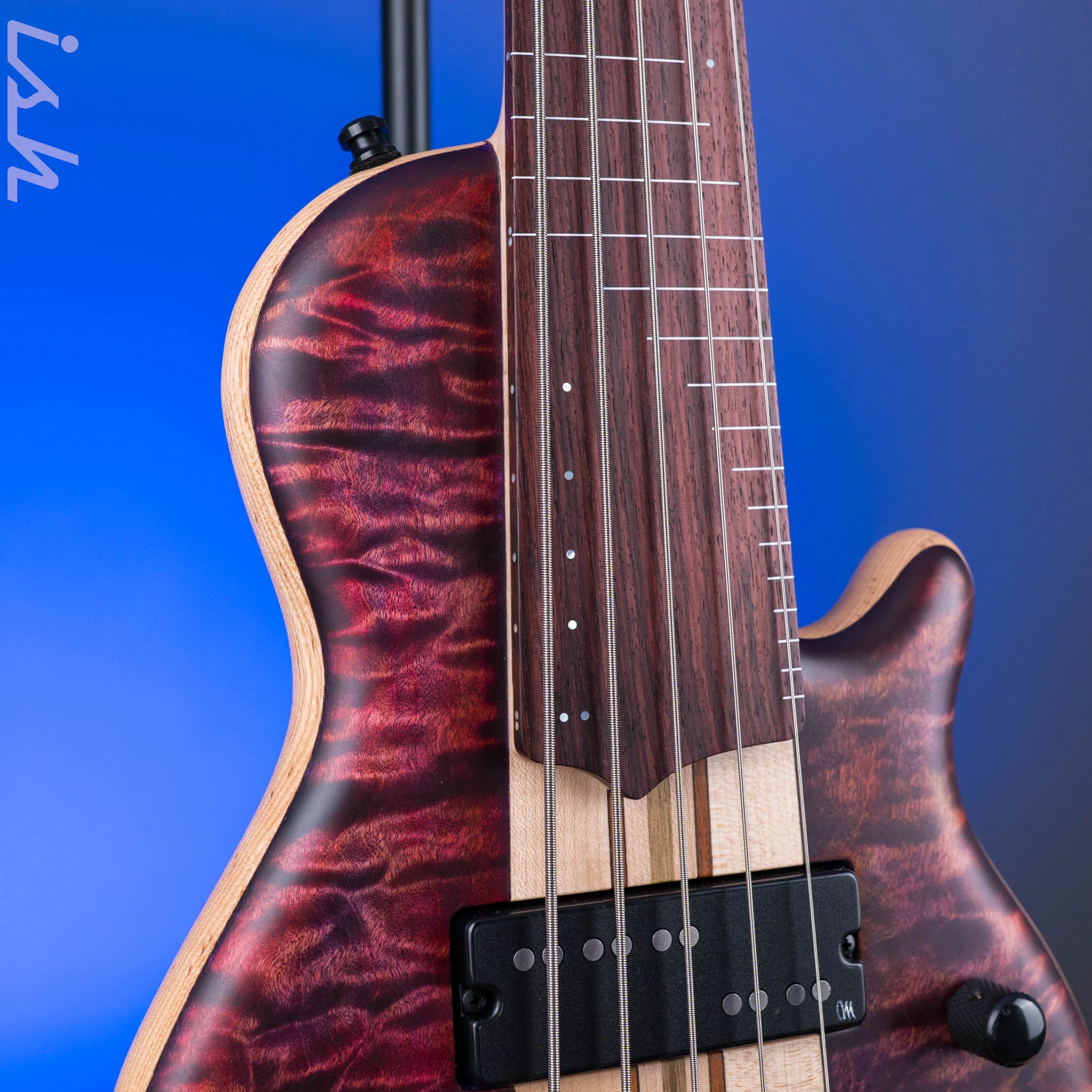 Mayones Cali 5 Fretless Mini Bass Flamed Maple - Image 4