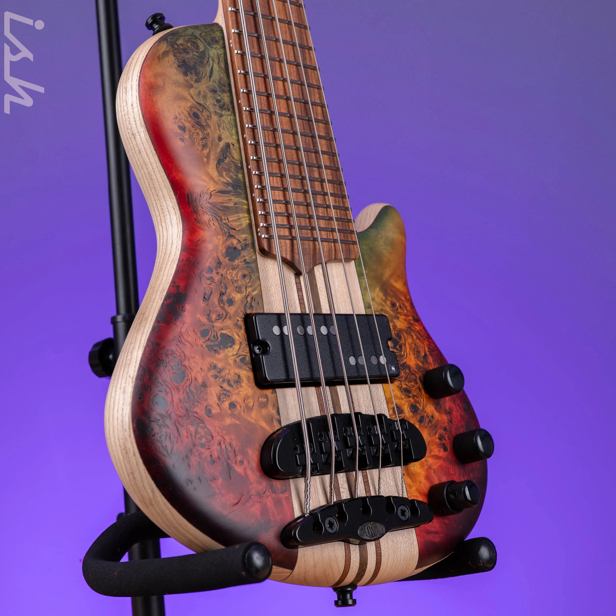 Mayones Cali 5 Mini Bass Curly Poplar - Image 3