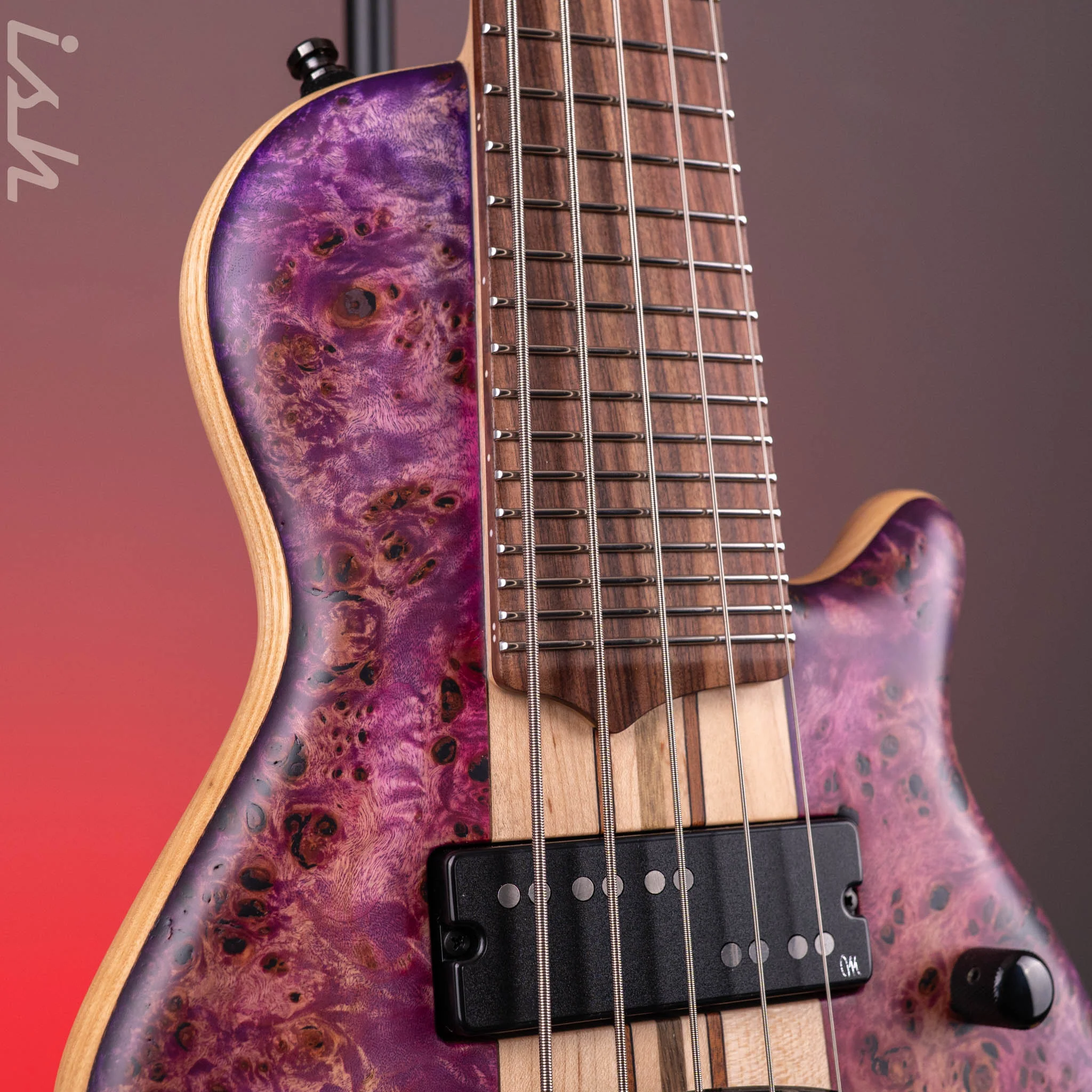 Mayones Cali 5 Mini Bass Eye Poplar - Image 4