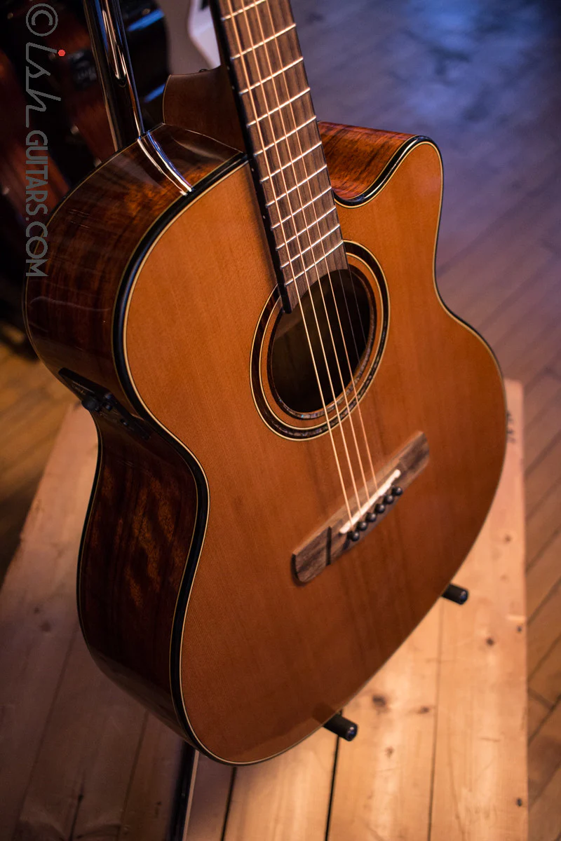 Merida Extrema Diana DG-15FOGACES Acoustic Guitar - Image 9