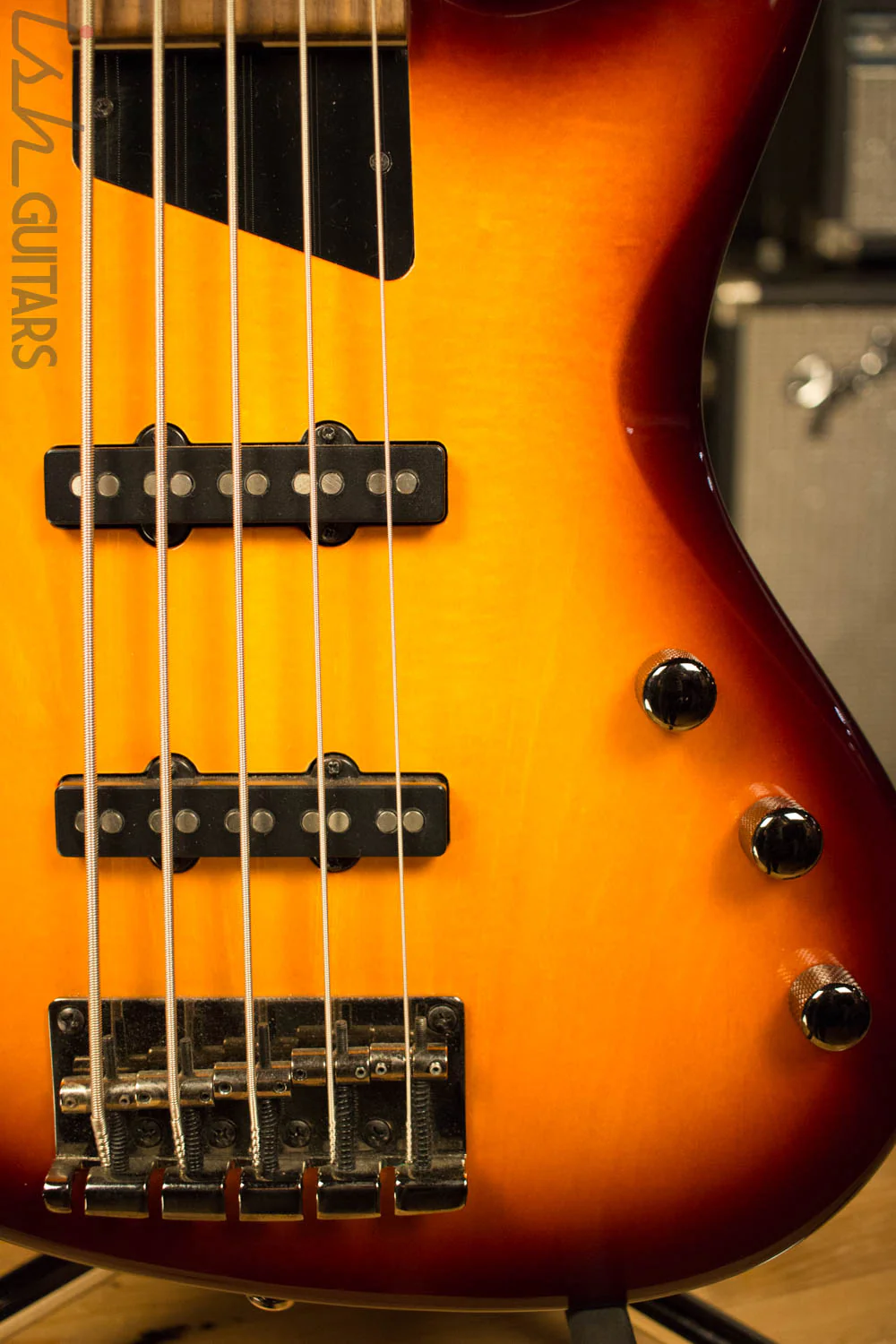 MTD Kingston Saratoga 5 String - Image 4