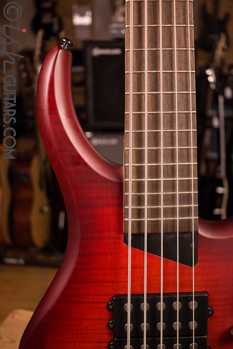 MTD Kingston Super 5 Dr. Brown's Burst Bass Guitar Humbuckers - Image 3
