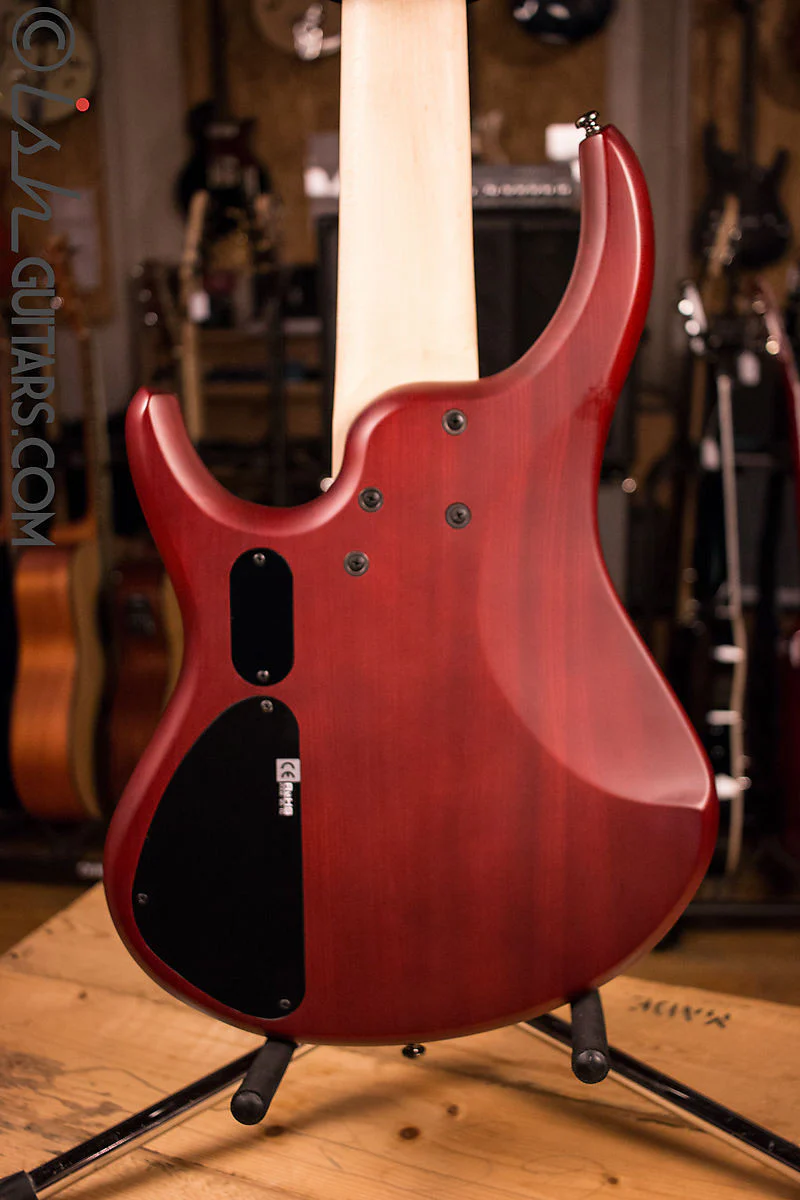 MTD Kingston Super 5 Dr. Brown's Burst Bass Guitar Humbuckers - Image 6