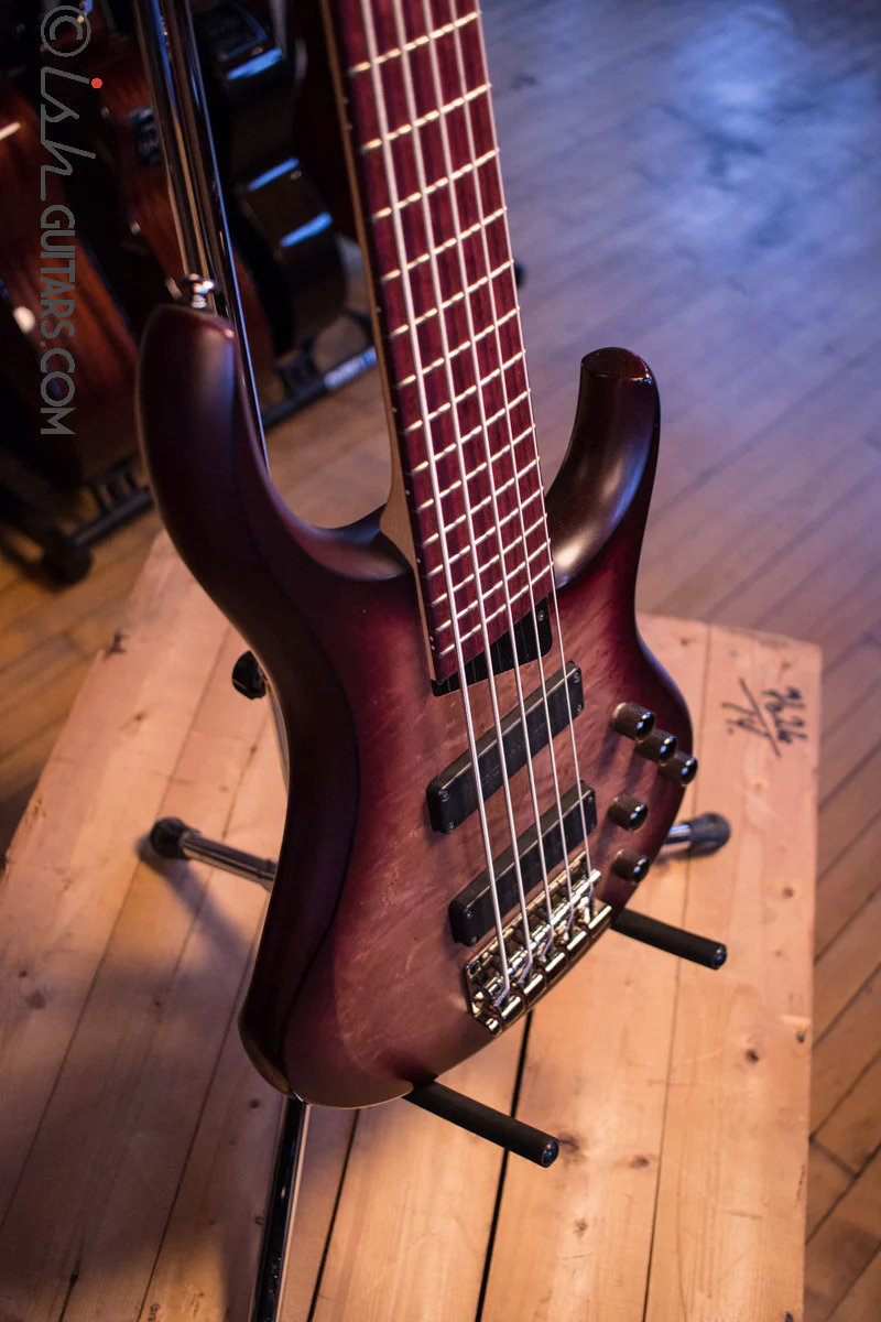 MTD Kingston Andrew Gouche AG5 Signature - Image 9