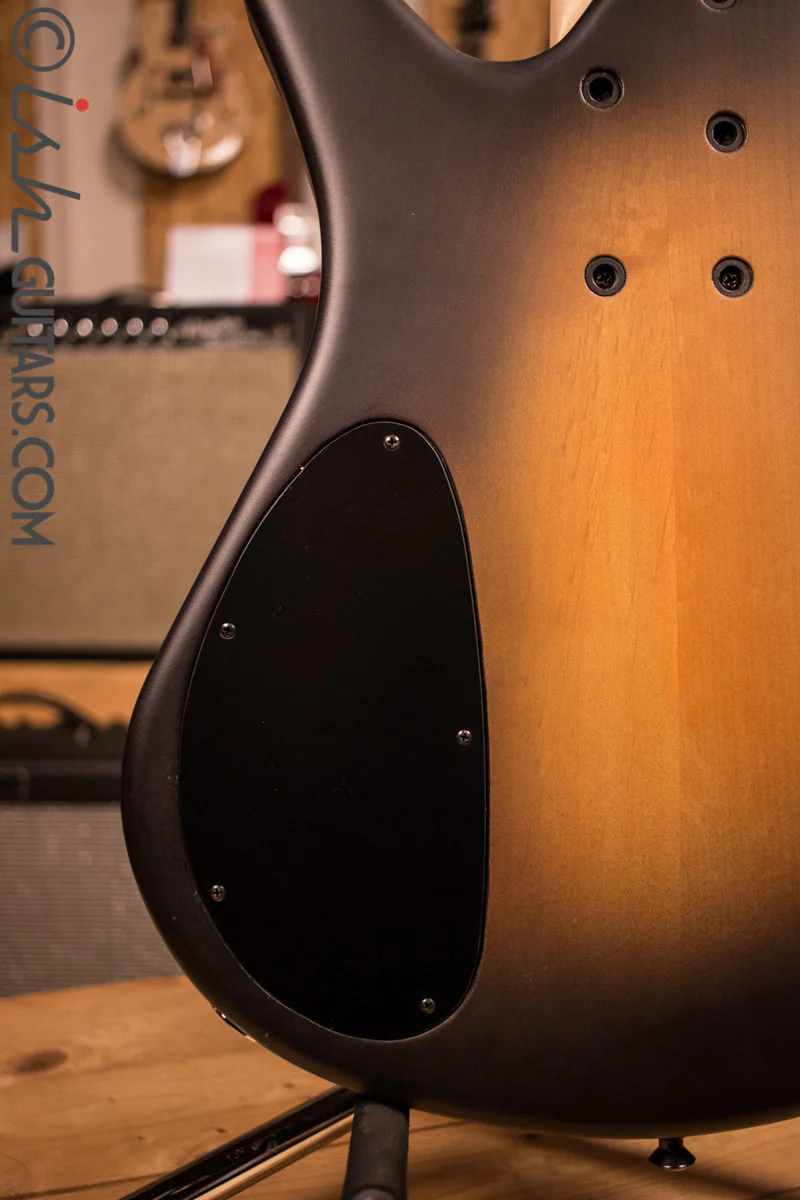 NAMM Spector CTB Hollow Body Bass Guitar - Image 10