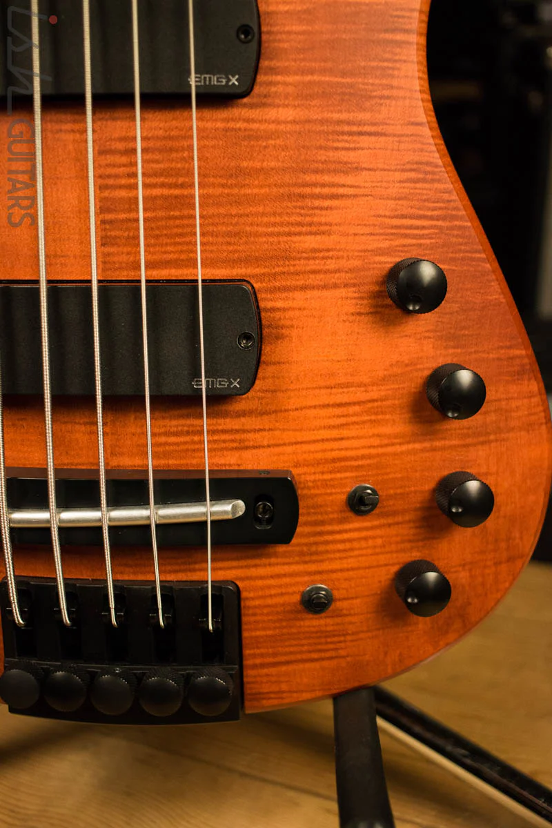 NS Designs CR5 Radius Electric Bass 5 String Fretless Piezo - Image 4