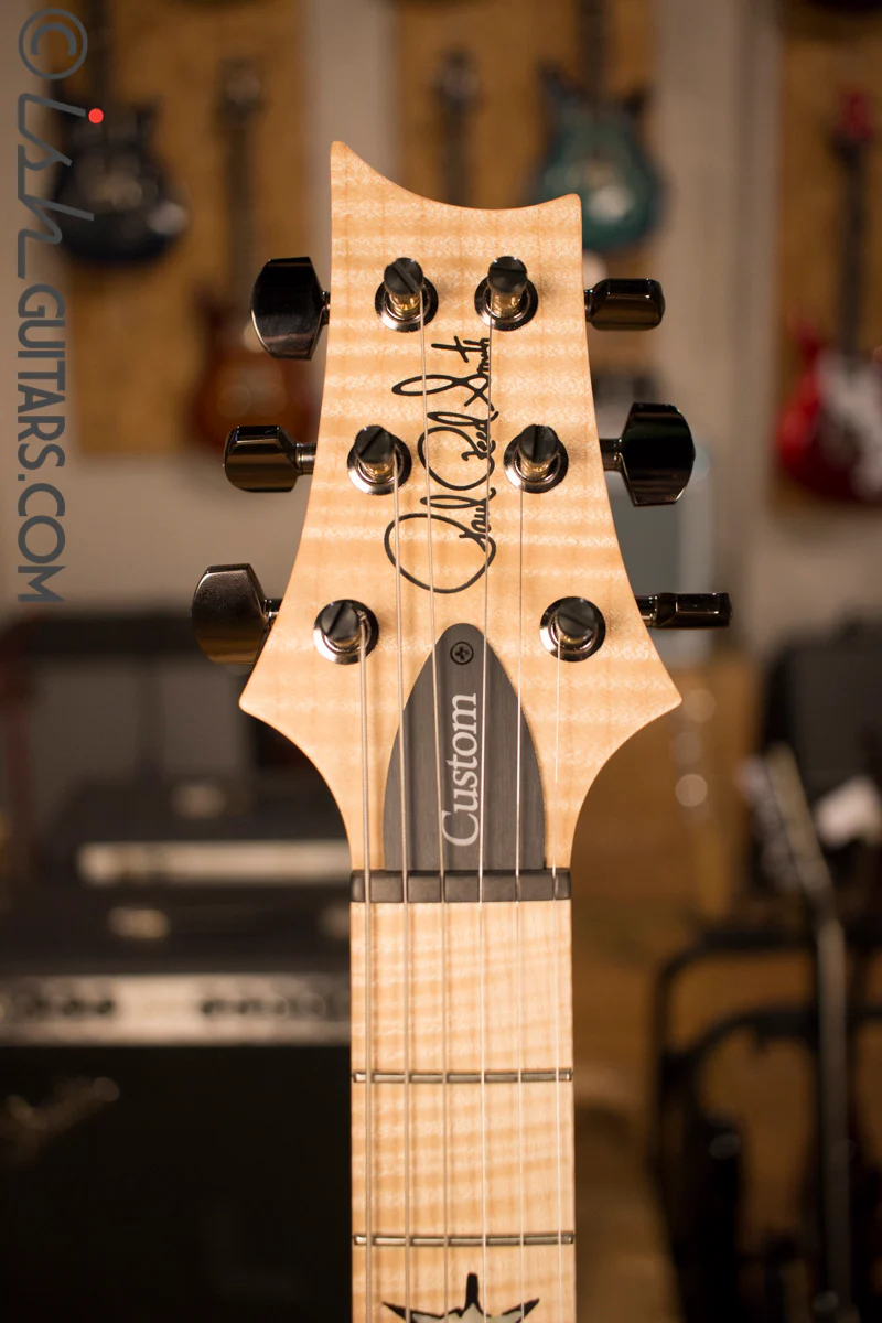 Paul Reed Smith PRS Custom 24 Semi-Hollow Wood Library Quilt Swamp Ash Charcoal - Image 5