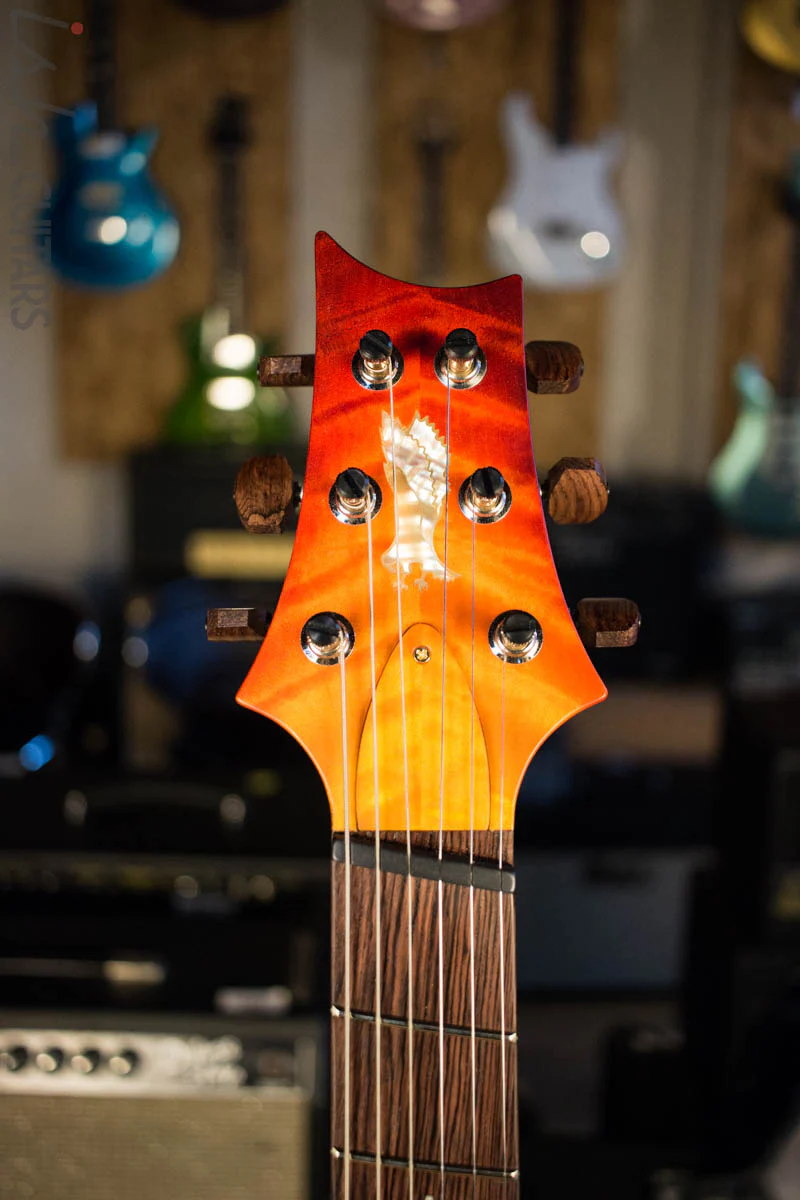 2018 Paul Reed Smith PRS Private Stock Custom 24 Multi Scale "Spirit" Double Semi-Hollow (DEMO VIDEO) - Image 5