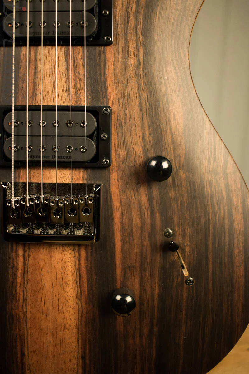 Paul Reed Smith PRS Mark Holcomb SE Macassar Ebony Natural Satin Ish Guitars Exclusive #20 - Image 4
