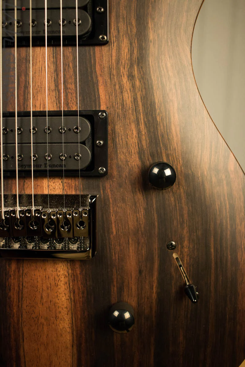 Paul Reed Smith PRS Mark Holcomb SE Macassar Ebony Natural Satin Ish Guitars Exclusive #4 - Image 4