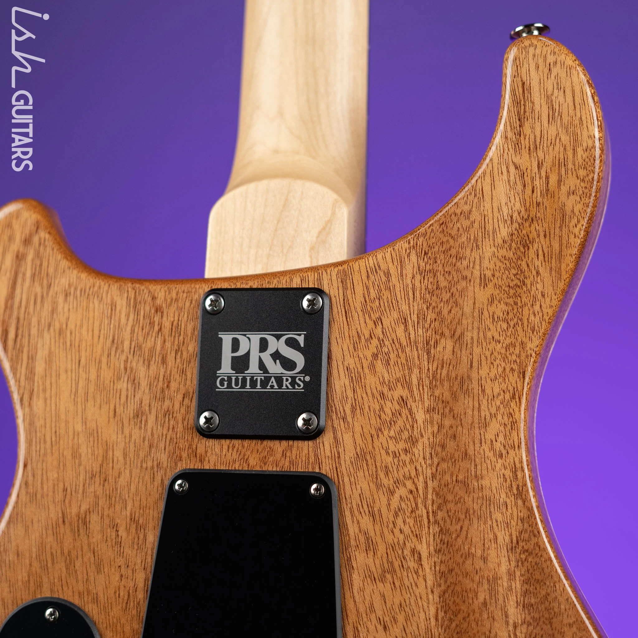 PRS CE 24 Semi-Hollow Eriza Verde - Image 8