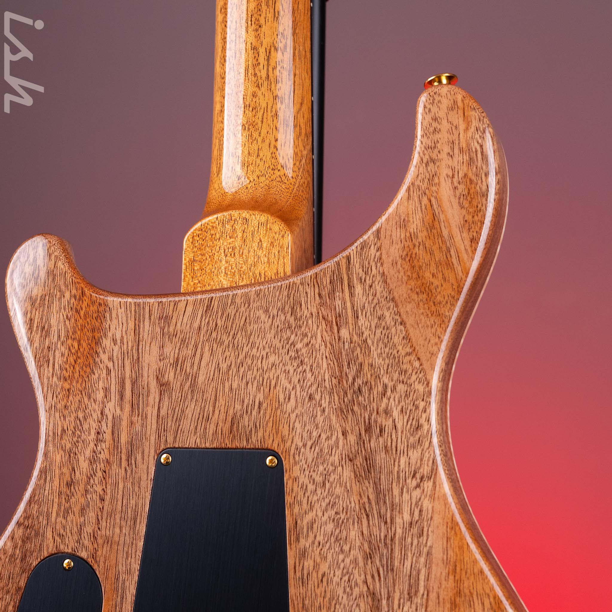 PRS Custom 24 10 Top Aurora Borealis *New Color!* - Image 9