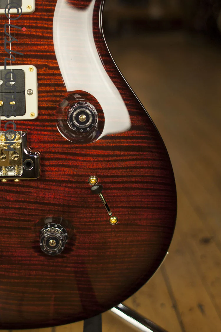 PRS Custom 24 Artist Package Custom Color - Image 3