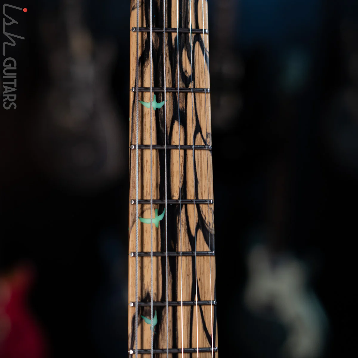 PRS Custom 24 Private Stock Pale #9000 Moon Ebony Swamp Ash - Image 10